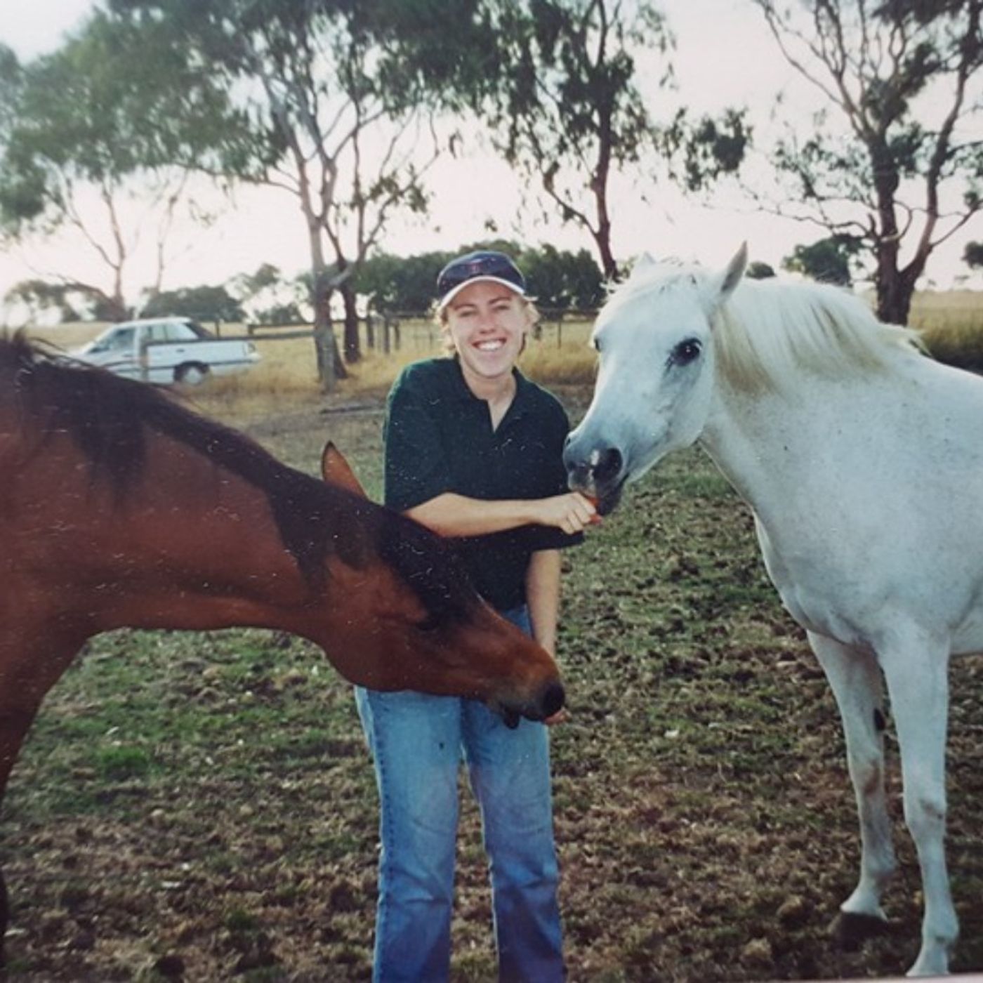 An Equine Conversation