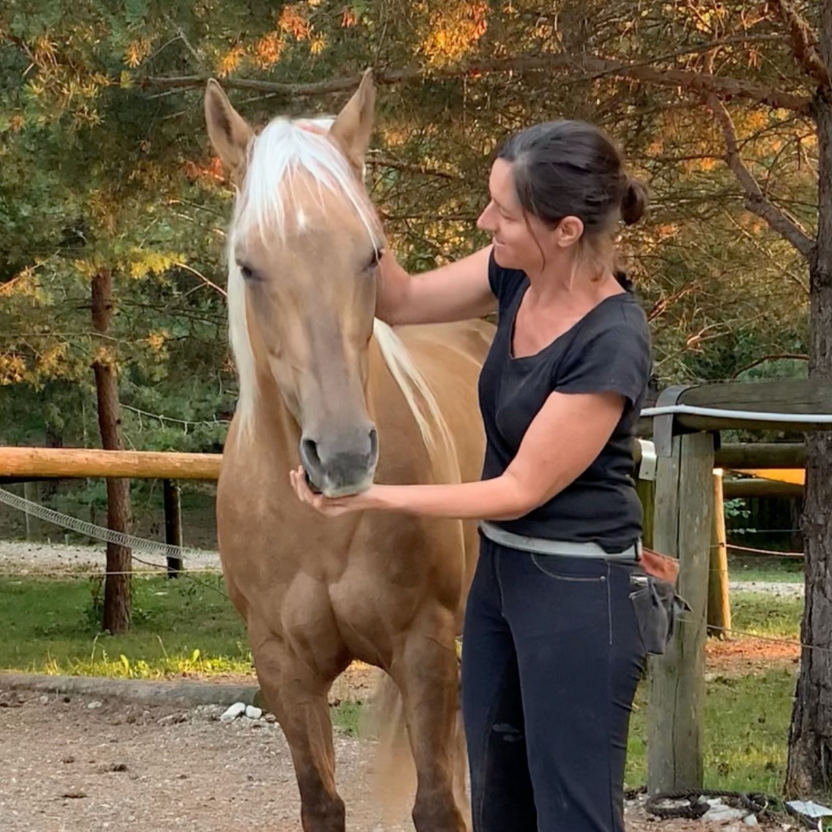 An Equine Conversation