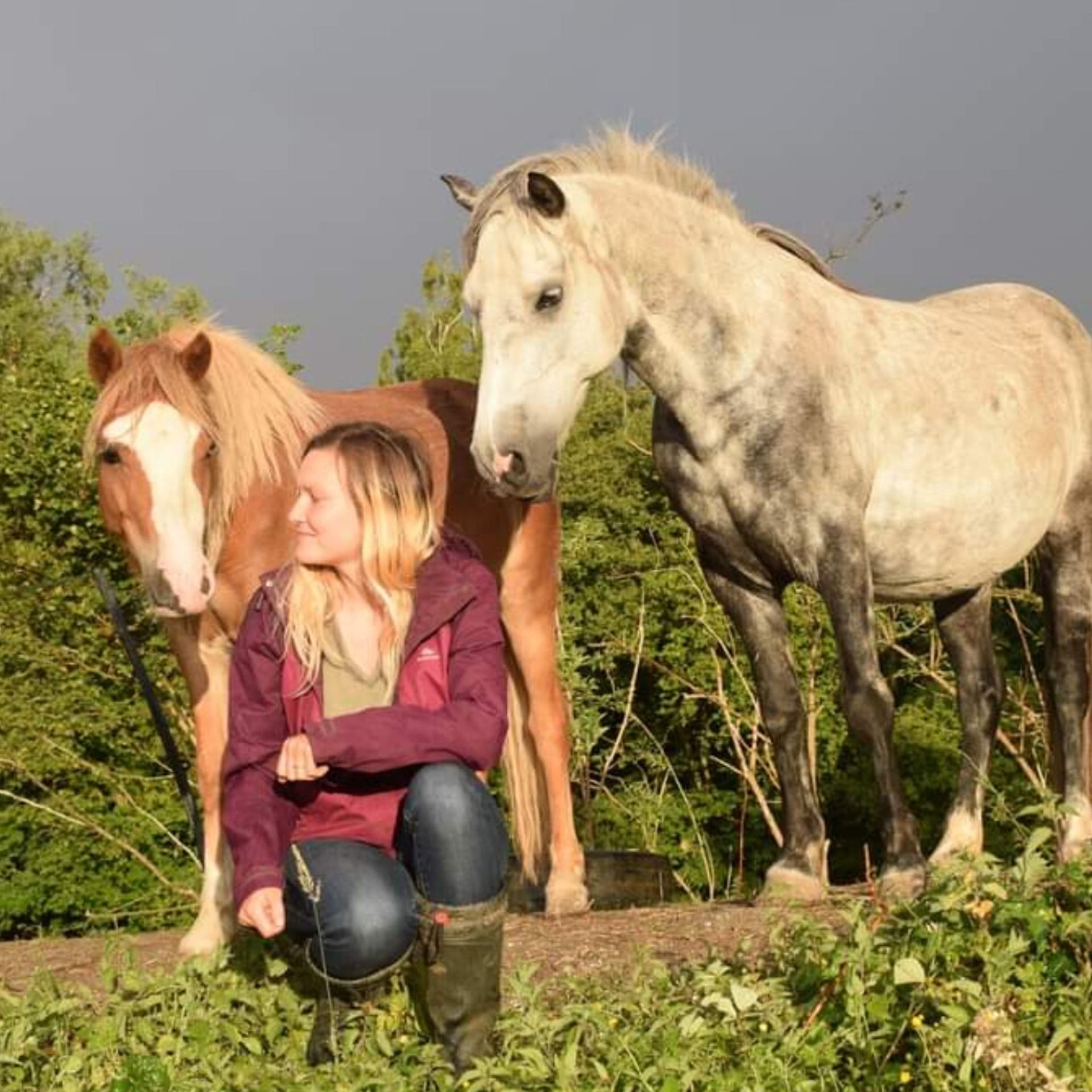 S4 E6: Equine enrichment with Maja Bagdziun episode artwork