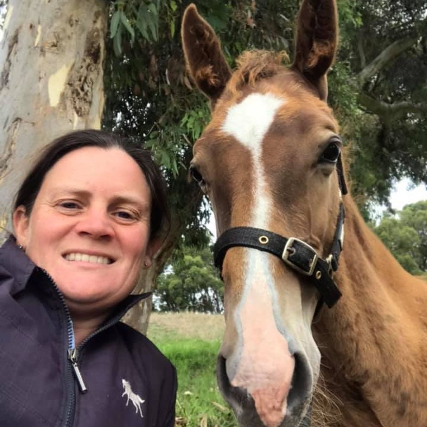 An Equine Conversation