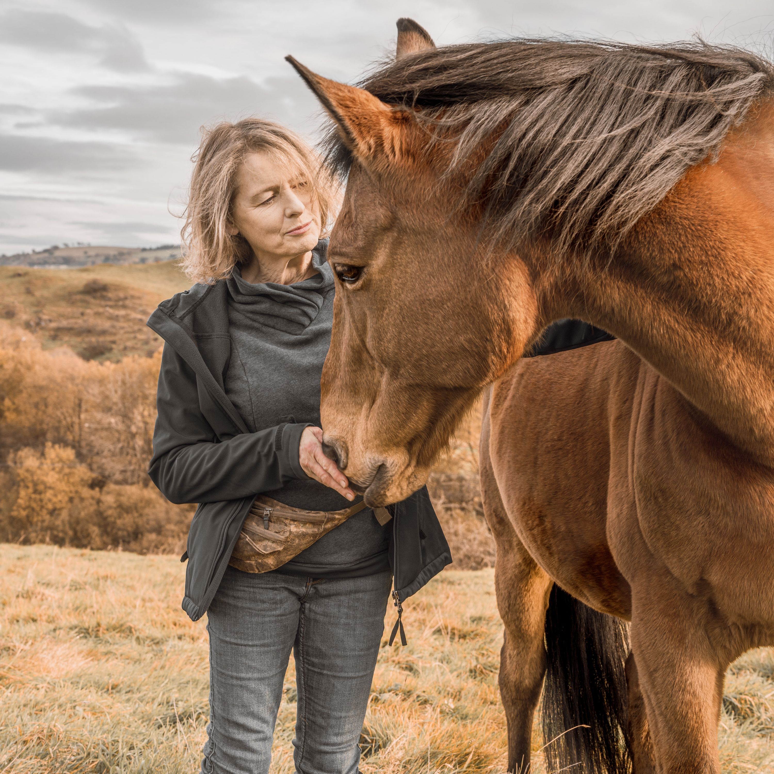An Equine Conversation