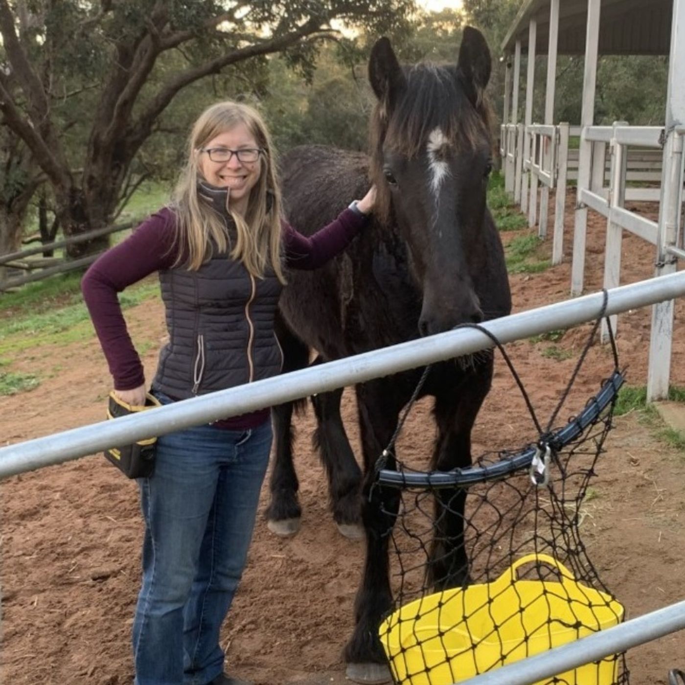 An Equine Conversation