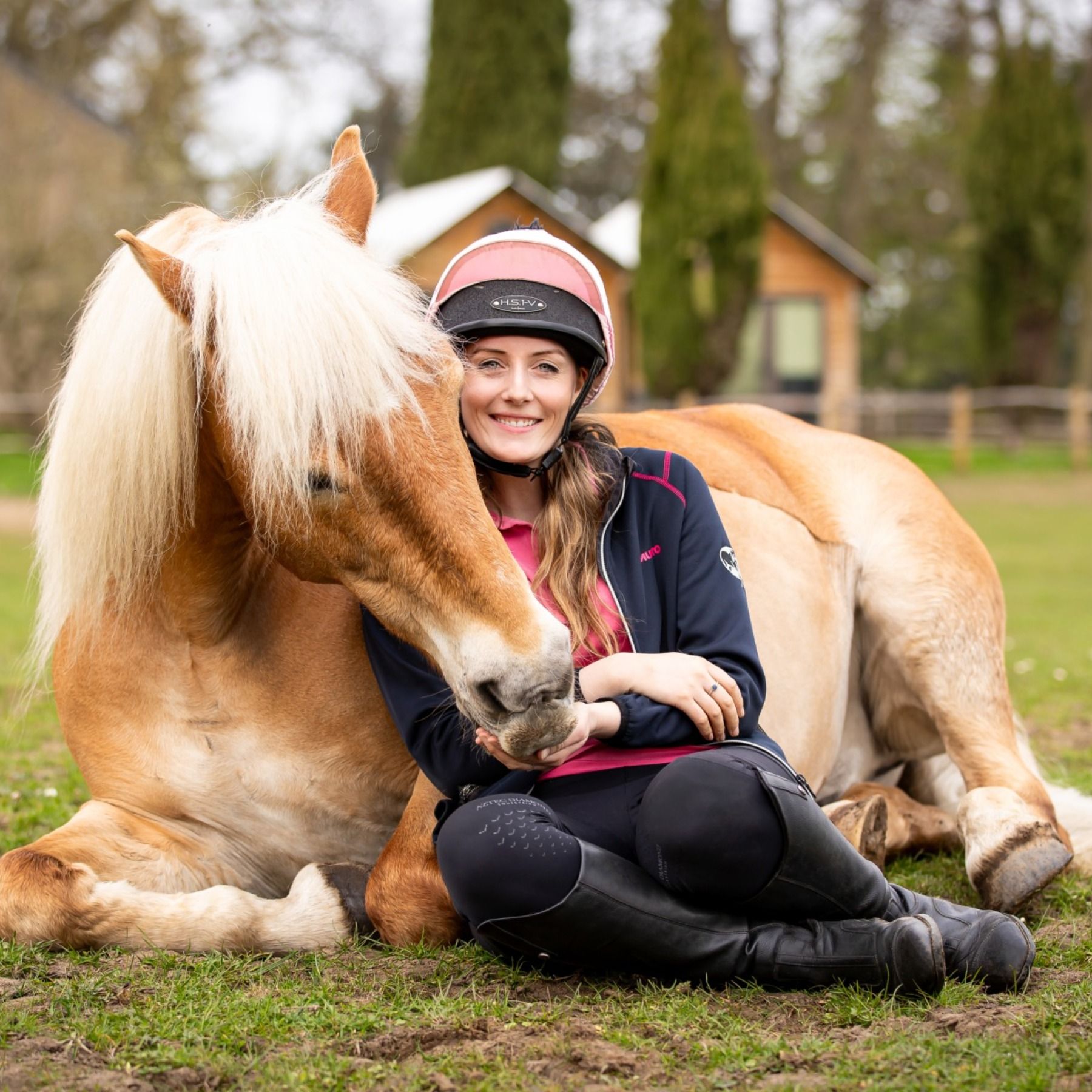 An Equine Conversation