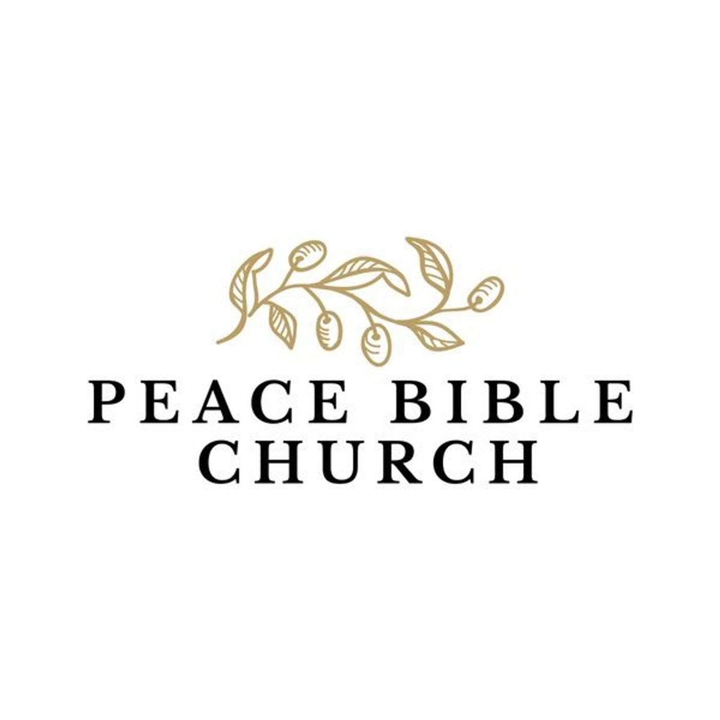 Do You Want to Be Made Well? // Various Scriptures (12/28/25)