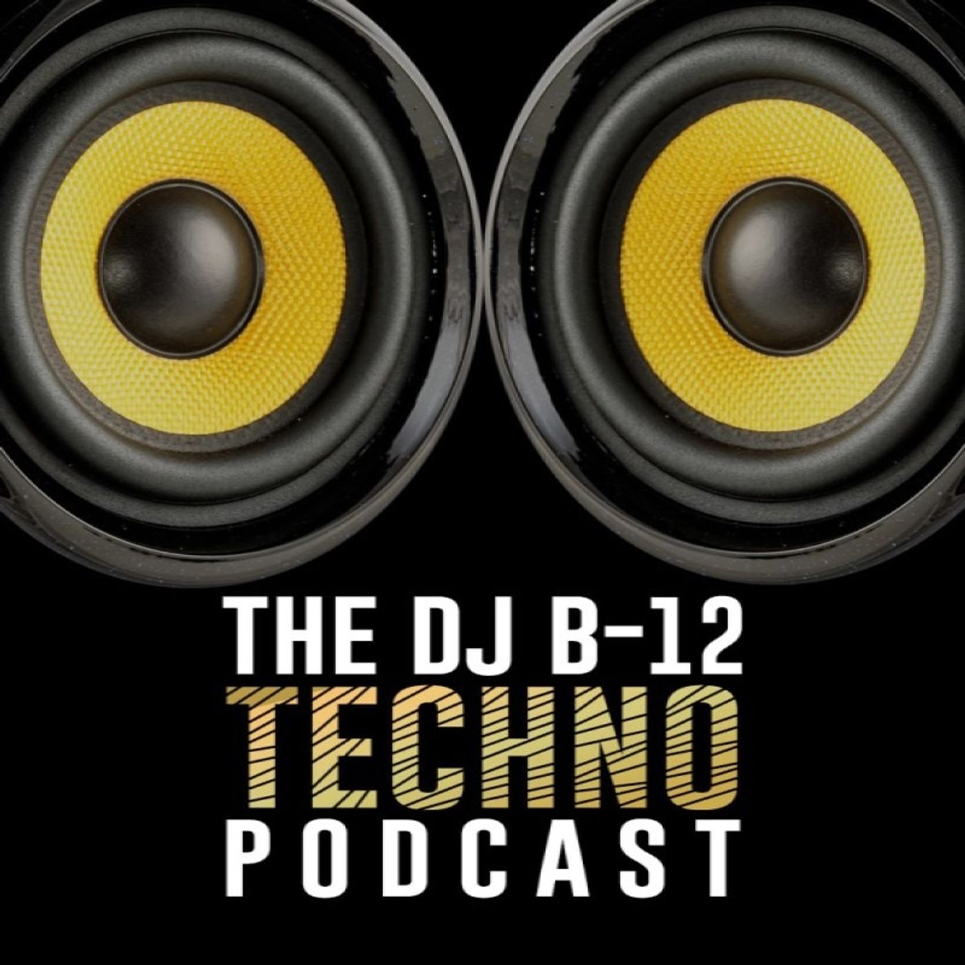 DJ B-12 Deep Acid House Experience