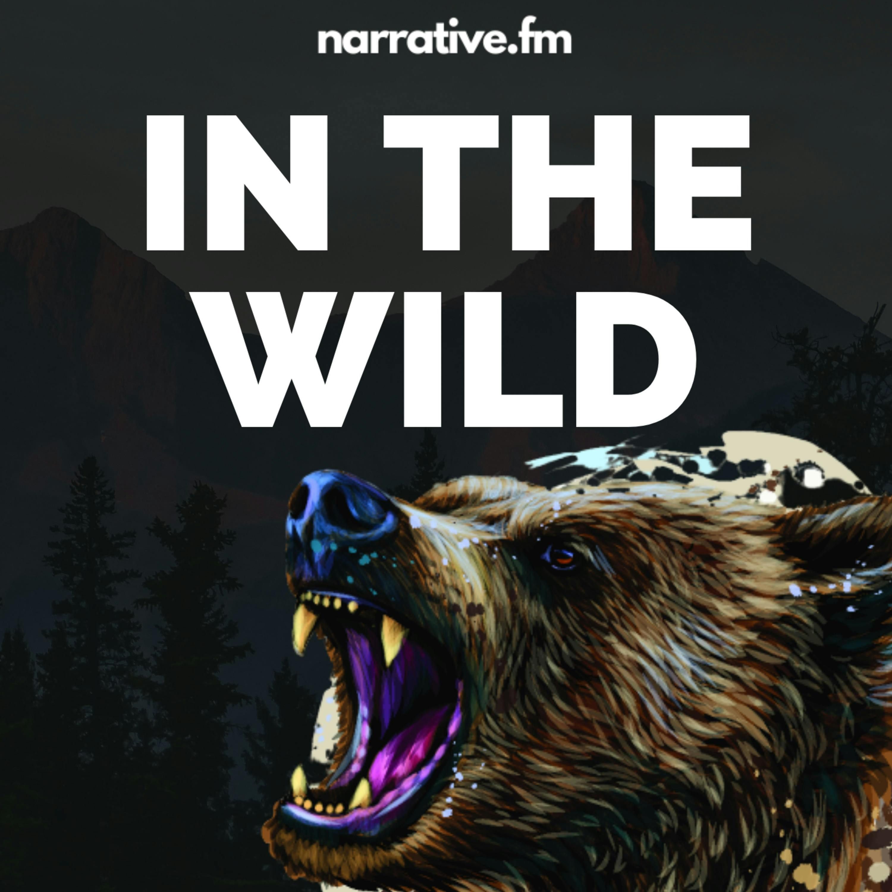 Lost at Obstruction Point episode artwork