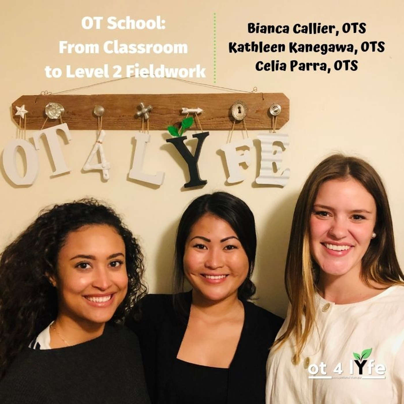 OT School: From Classroom to Level 2 Fieldwork