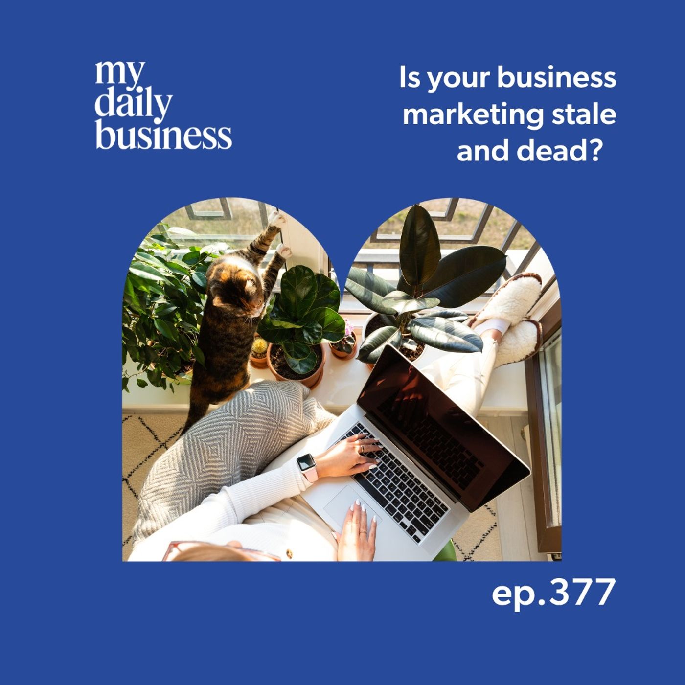 Is your business marketing stale and dead?