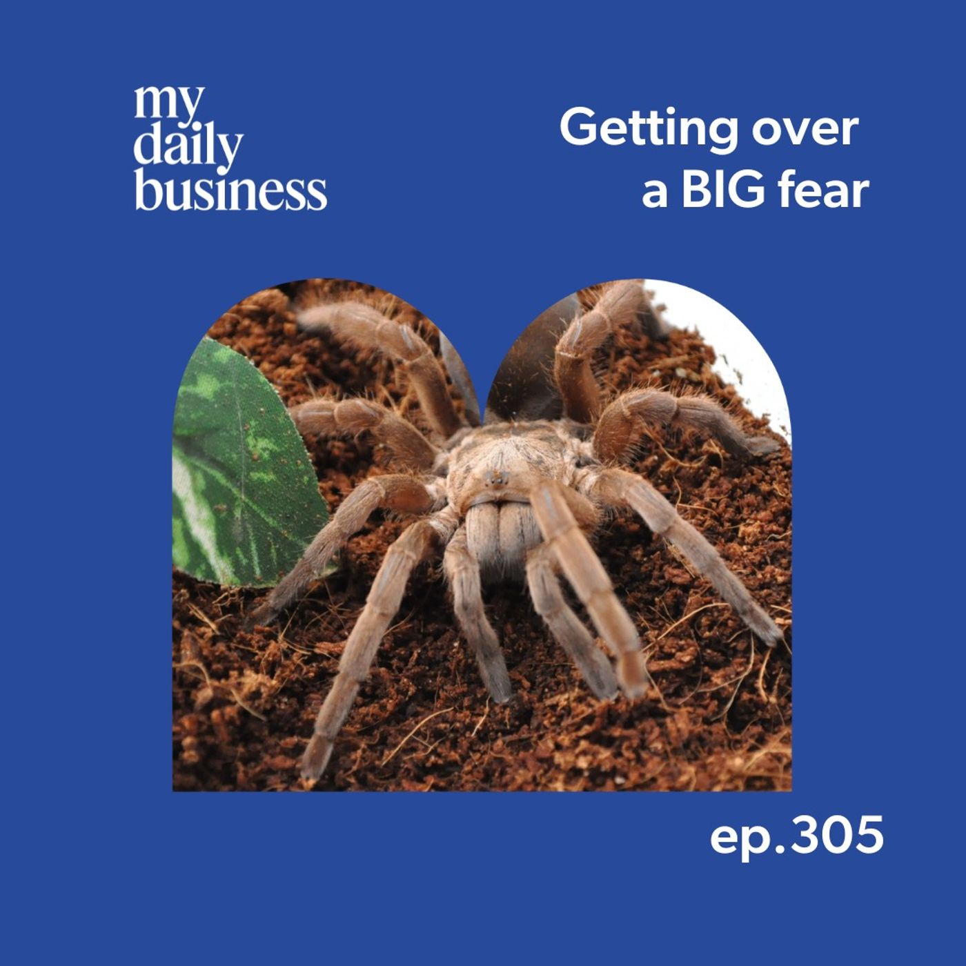 My Daily Business Podcast