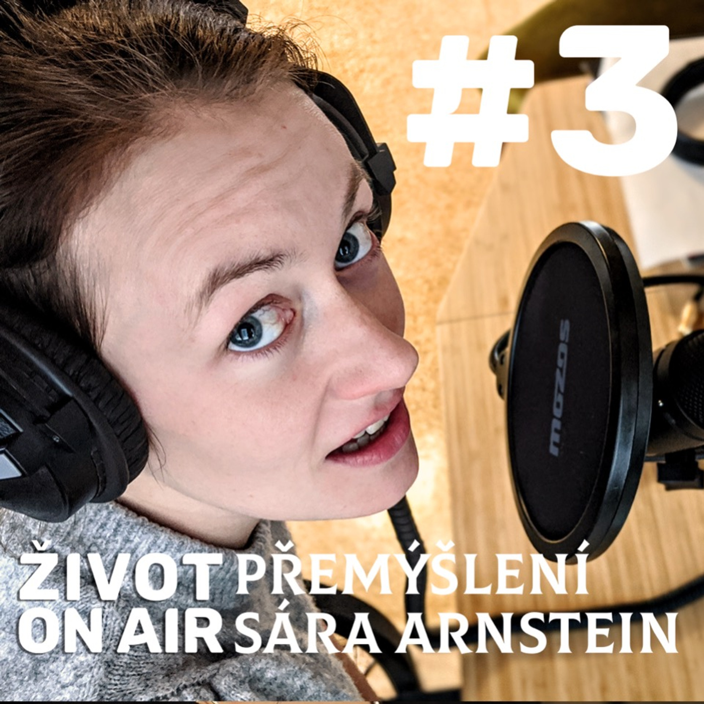 #3_Přemýšlení / Sára Arnstein _ Co se vám honí hlavou?