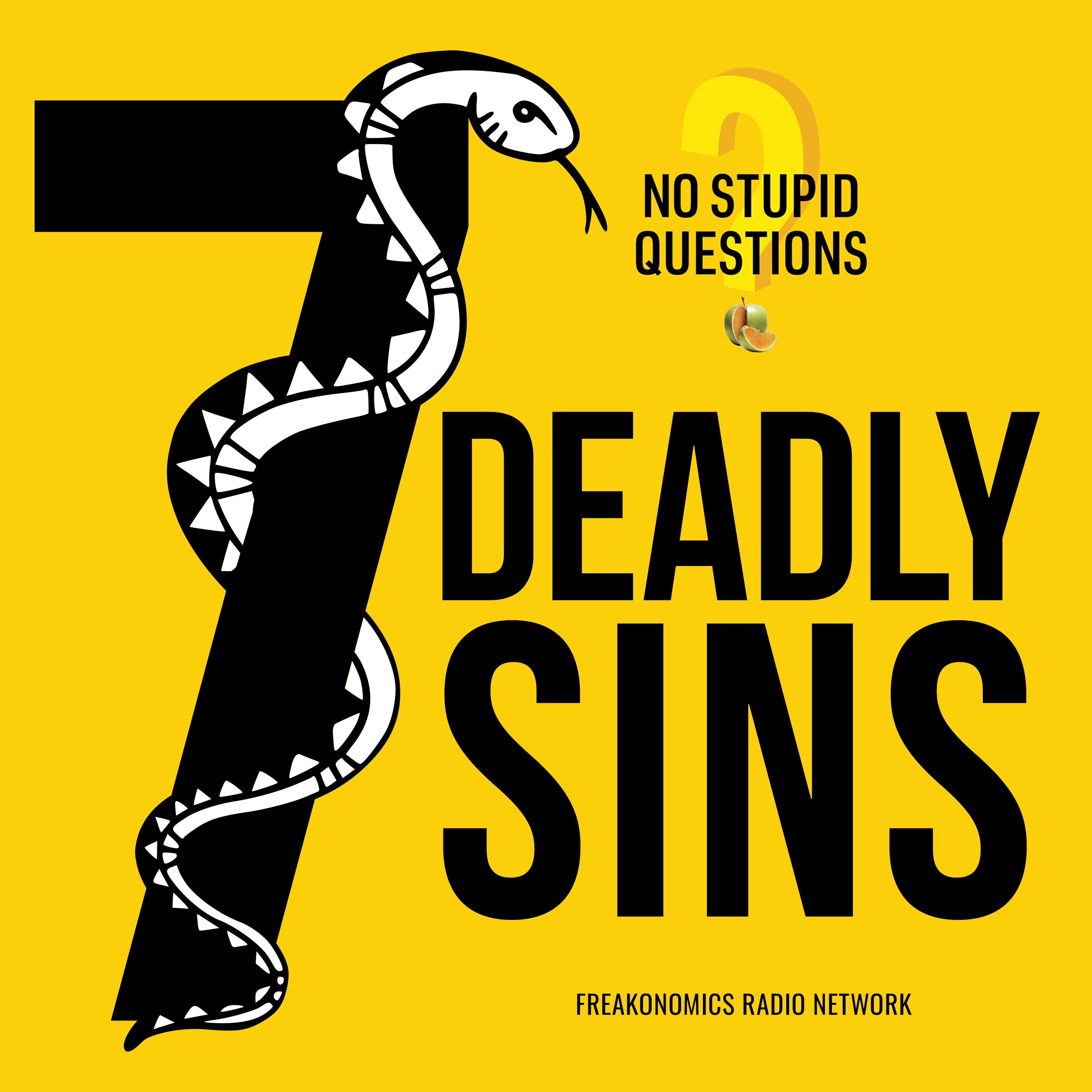 cover of episode 143. How Sinful Are "No Stupid Questions" Listeners?