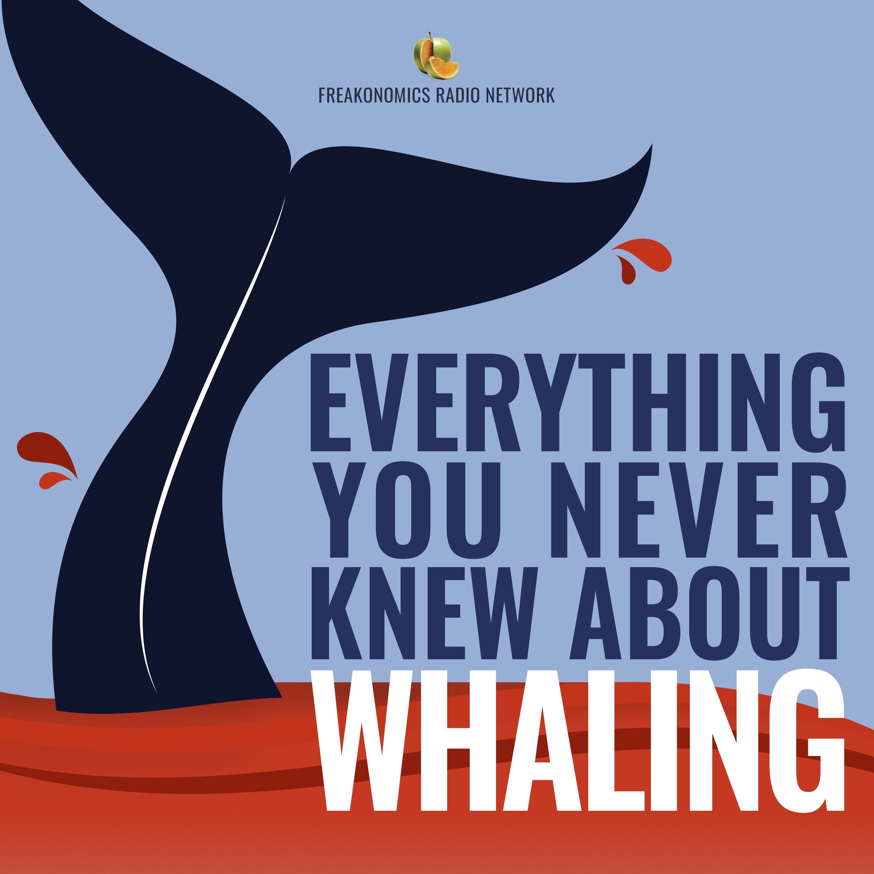 551. What Can Whales Teach Us About Clean Energy, Workplace Harmony, and Living the Good Life? - podcast episode cover