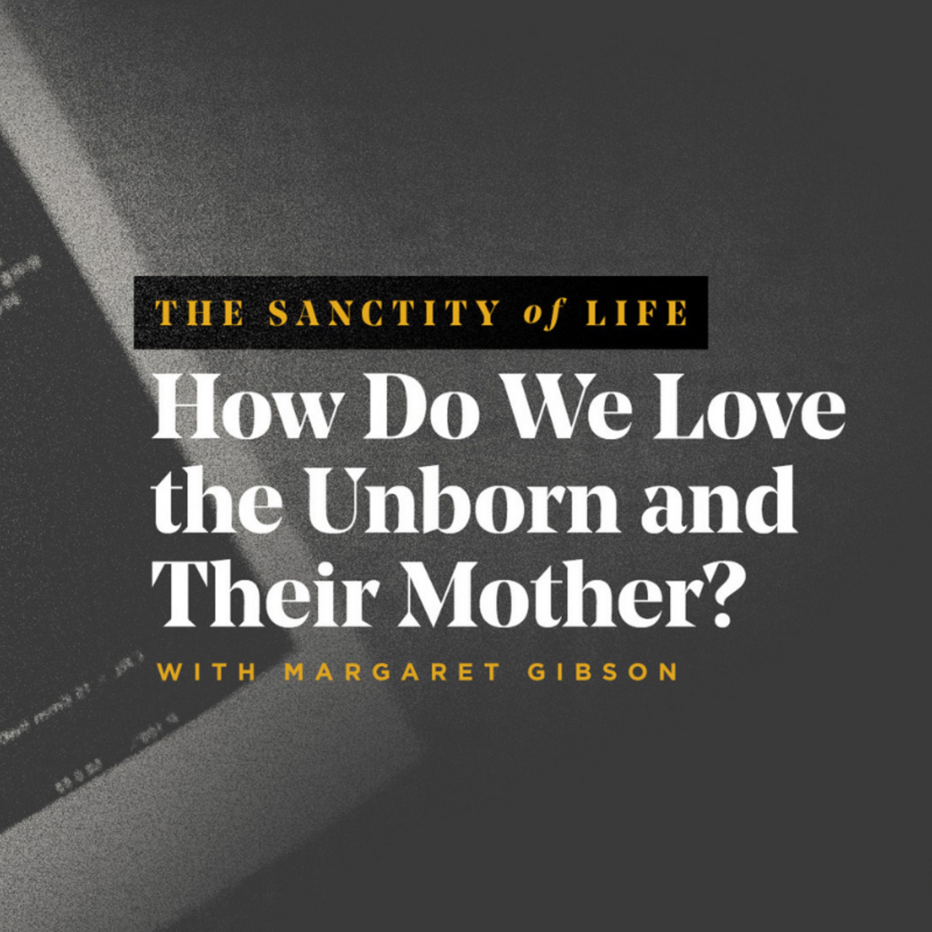 The Sanctity of Life: How Do We Love the Unborn and Their Mother?