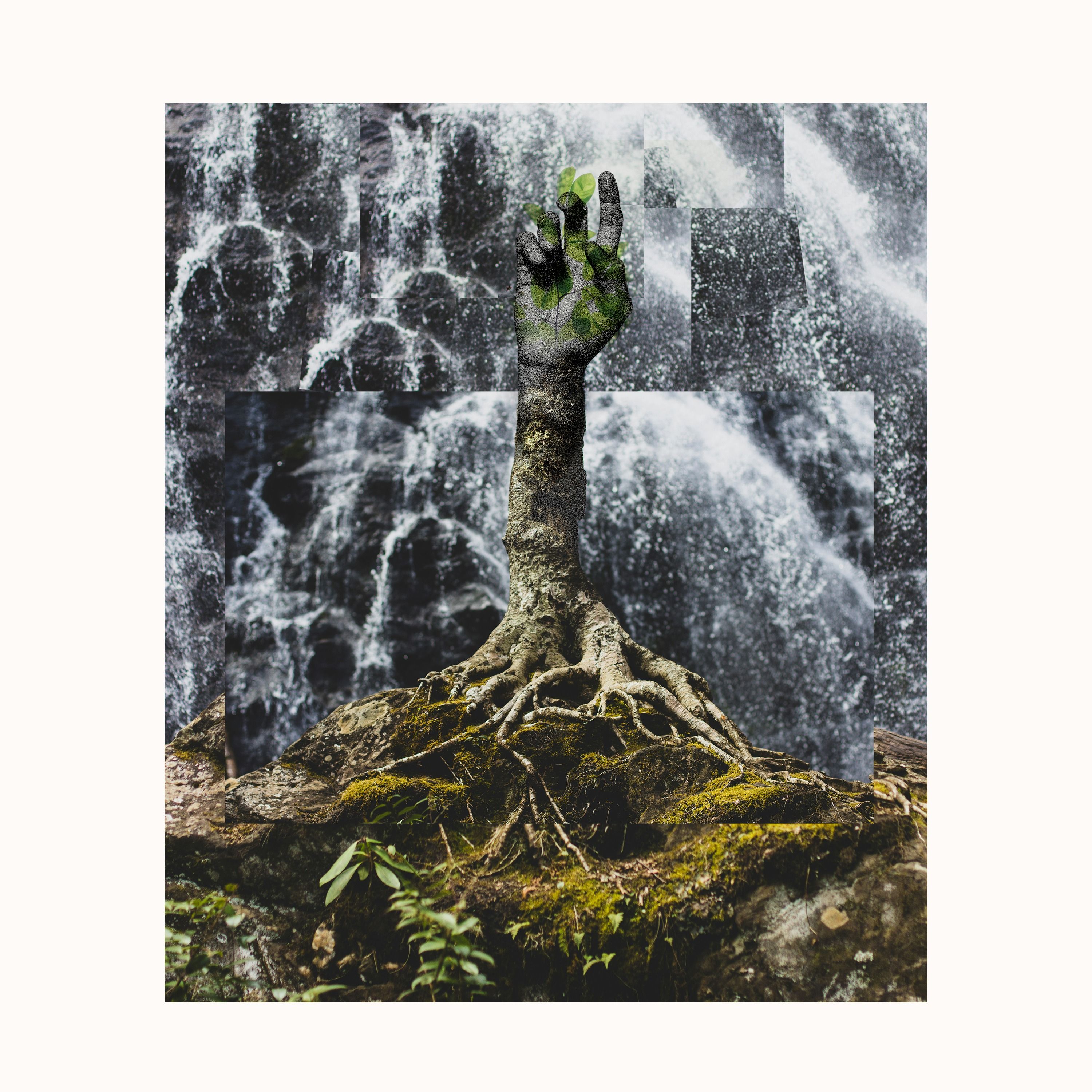 You Are A Tree: Metaphor & the Poetry of Our Humanity / Joy Marie Clarkson