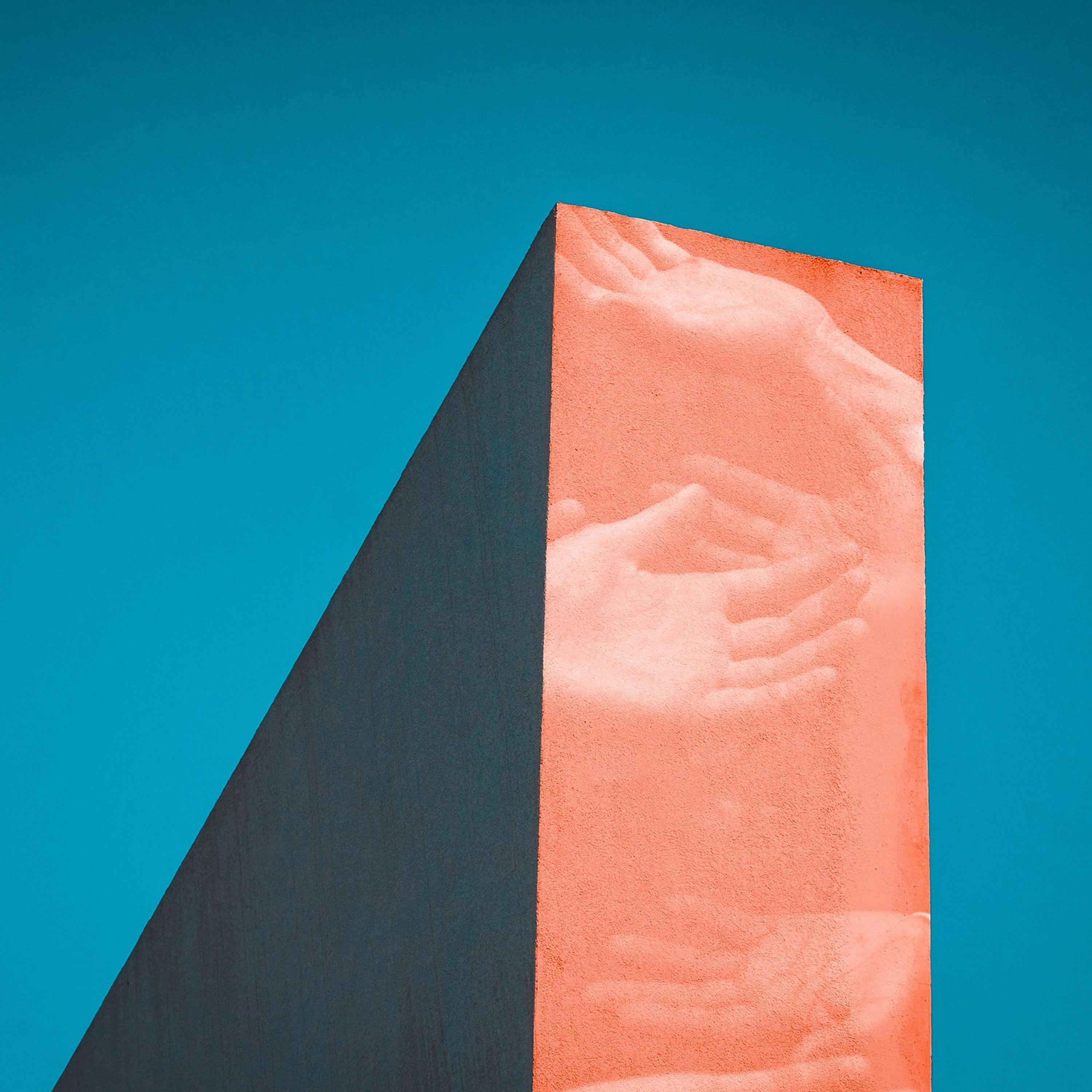 Elizabeth Bruenig: Chronicler of the Human Condition / Interview with Ryan McAnnally-Linz