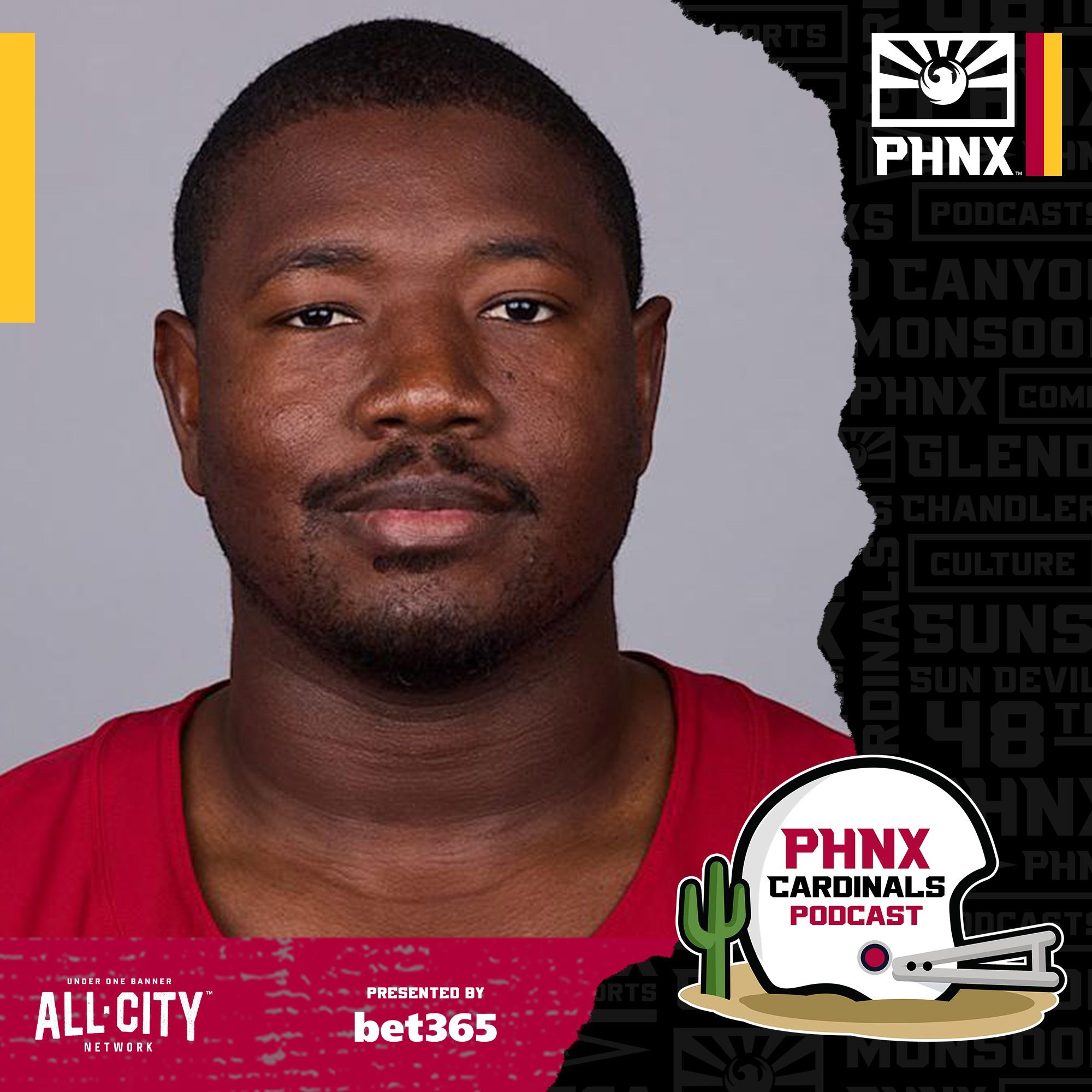 INTERVIEW: Cardinals Veteran Leader: Jonathan Gannon "Right Person for the Job"