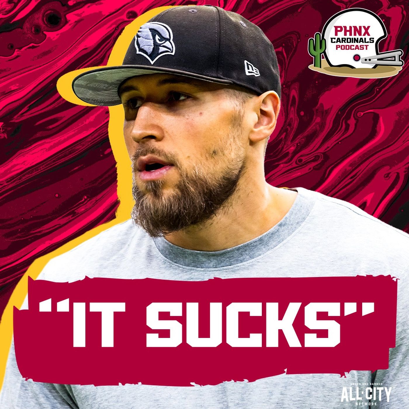 "IT SUCKS": Nick Rallis CANDID On Arizona Cardinals Defensive STRUGGLES As JOB AT STAKE VS Lions