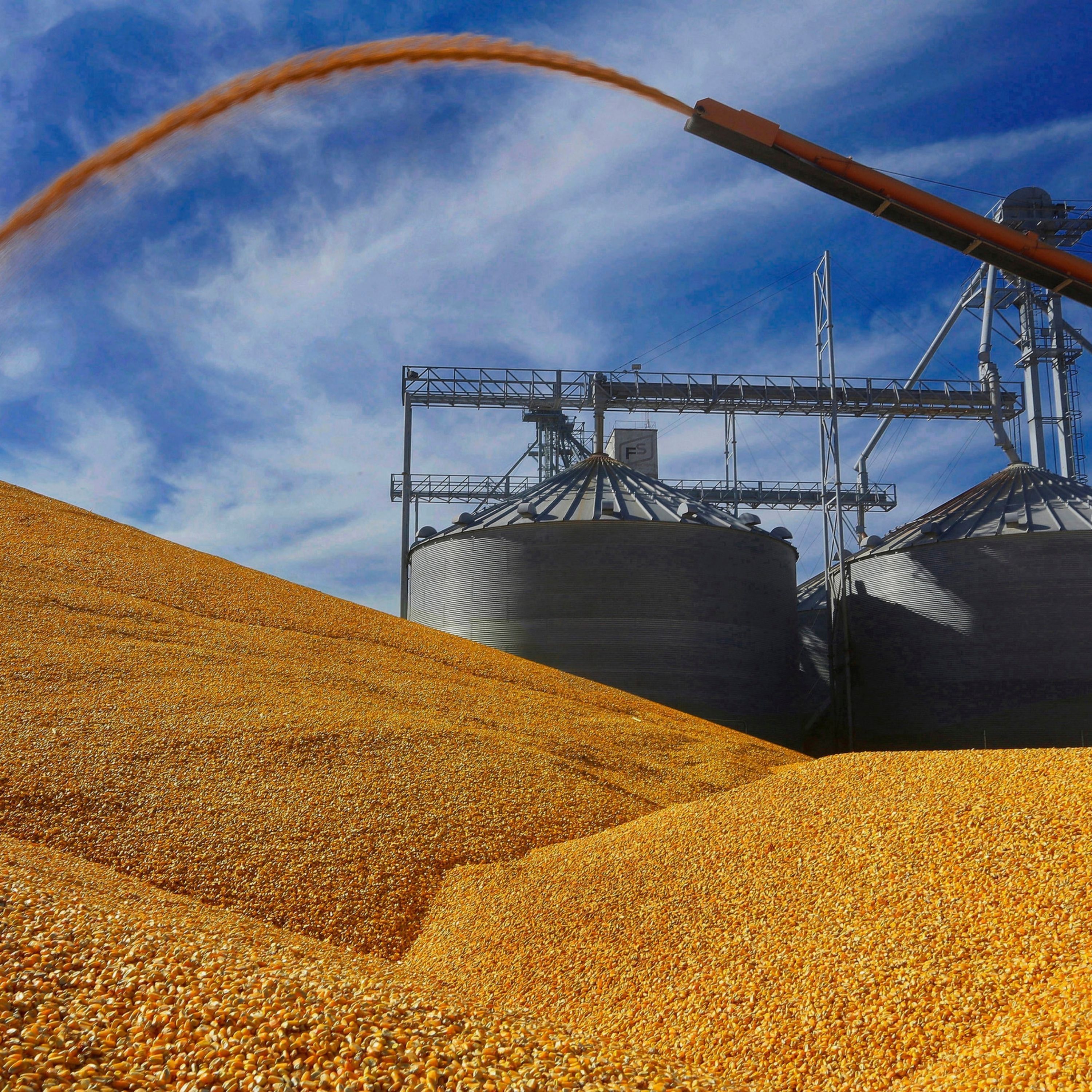 The Reality of Being An American Farmer Right Now