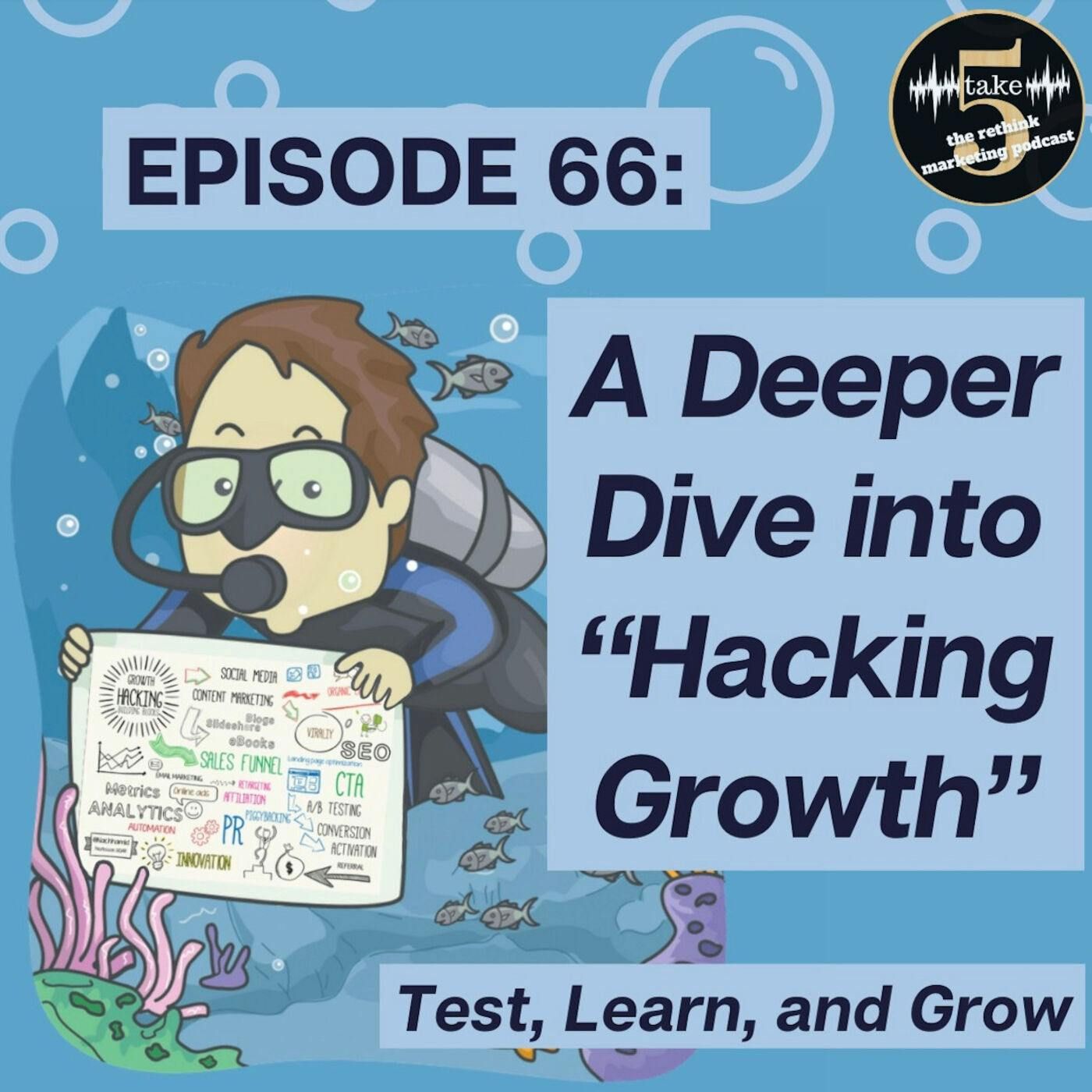 A Deeper Dive Into “Hacking Growth”.
