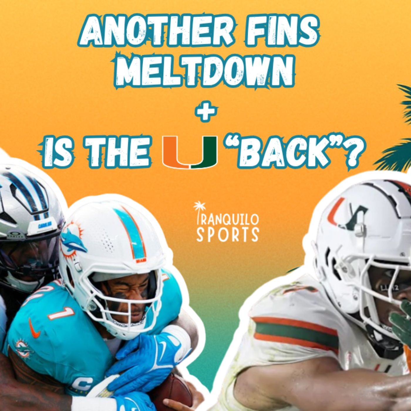 David MALFUNCTIONS Talking Fins | 🗣"I HATE FOOTBALL" + The U is Back David MALFUNCTIONS Talking Fins | 🗣"I HATE FOOTBALL" + The U is Back