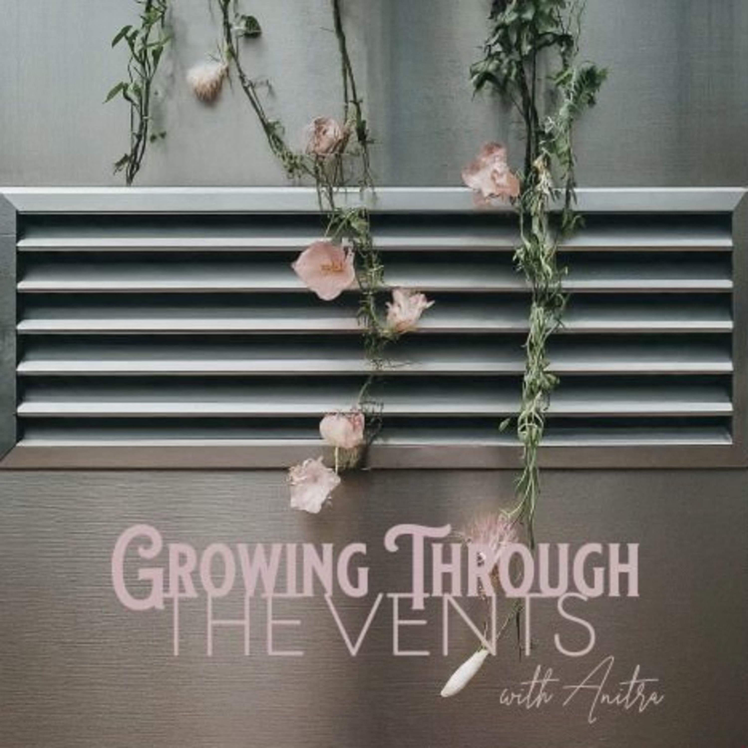 Episode 1. - Vulnerability