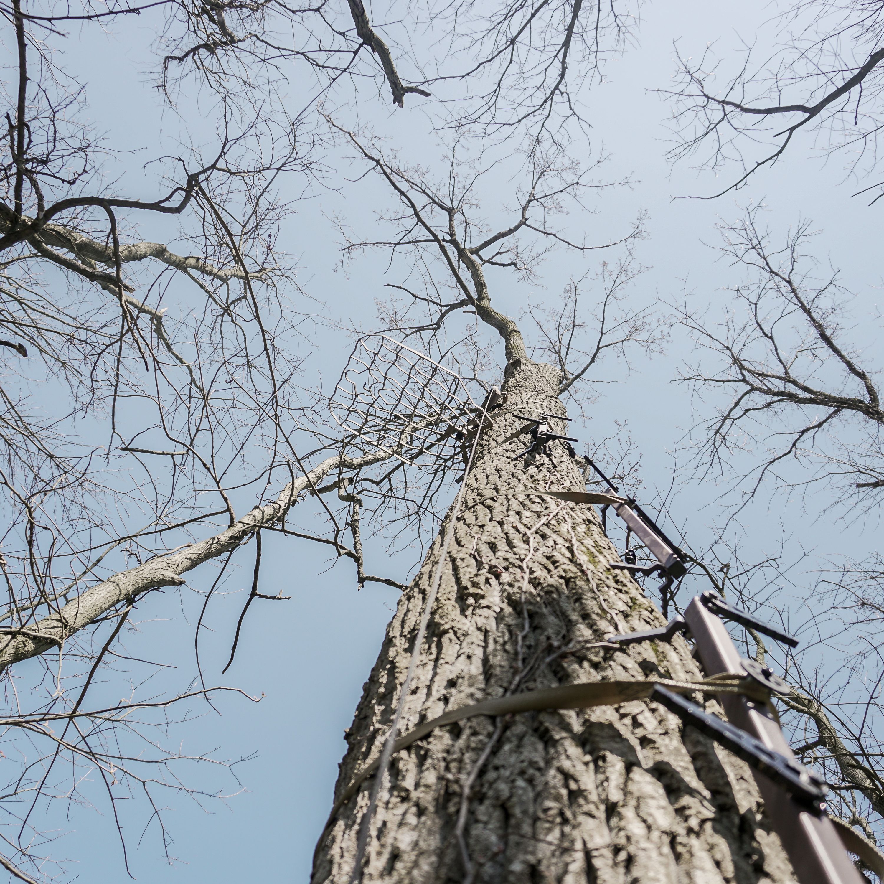 Our Favorite Tree Stand Locations Part 2