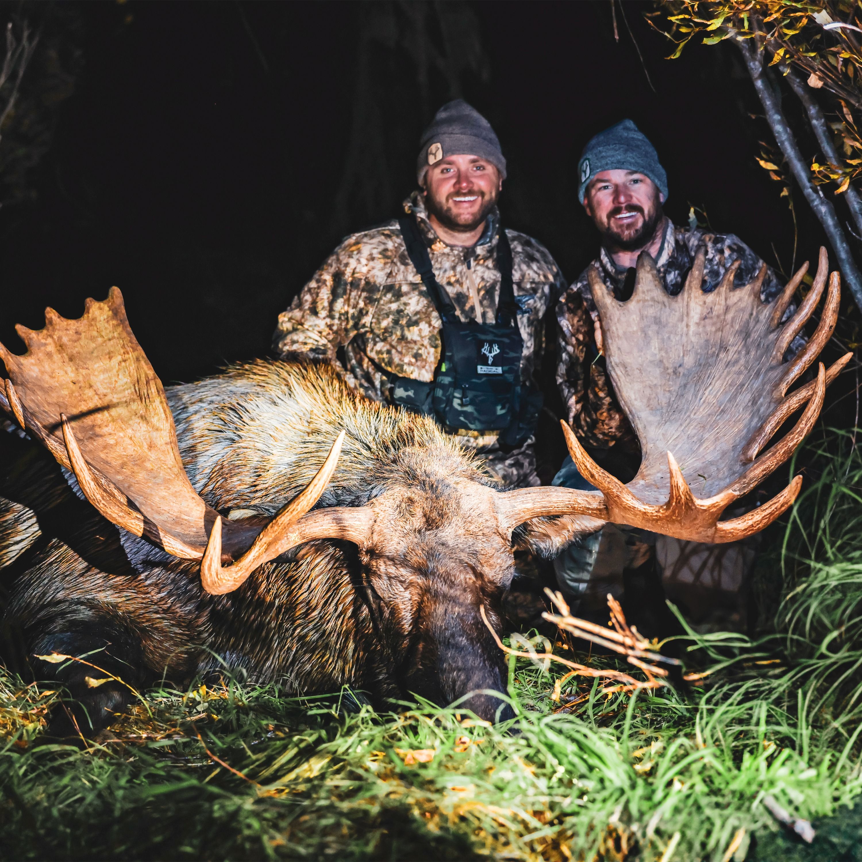 Alaskan Moose Hunt I Dreams and Nightmares Lived episode artwork