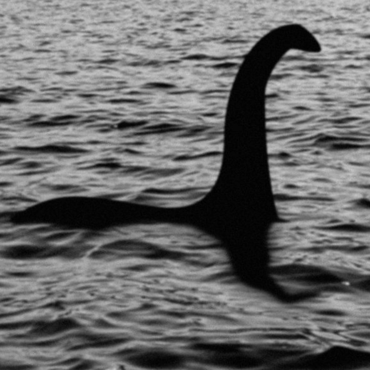 The Loch Ness Monster Debunked