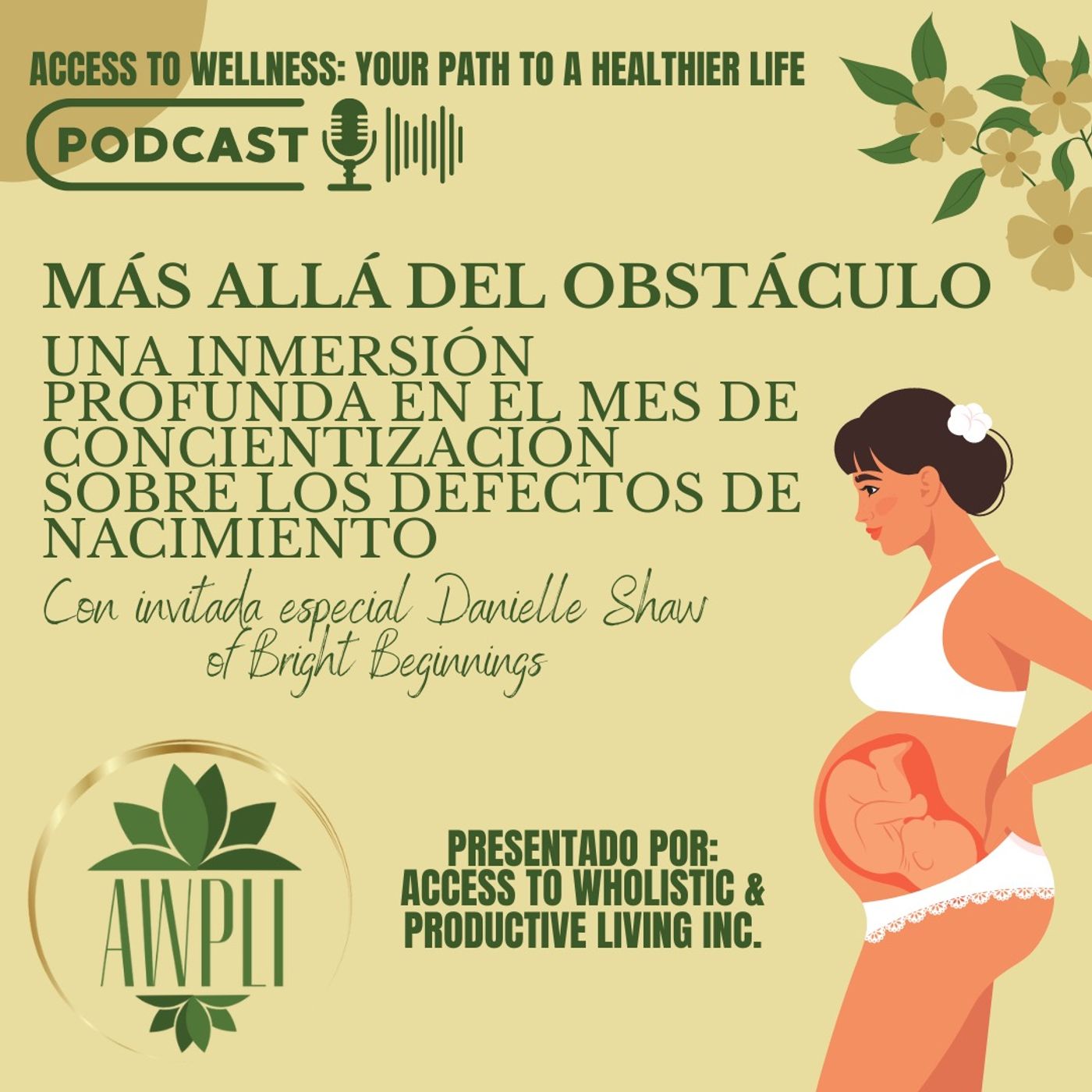 Más Allá del Bulto: Una Inmersión Profunda en la Conciencia sobre Defectos de Nacimiento Más Allá del Bulto: Una Inmersión Profunda en la Conciencia sobre Defectos de Nacimiento