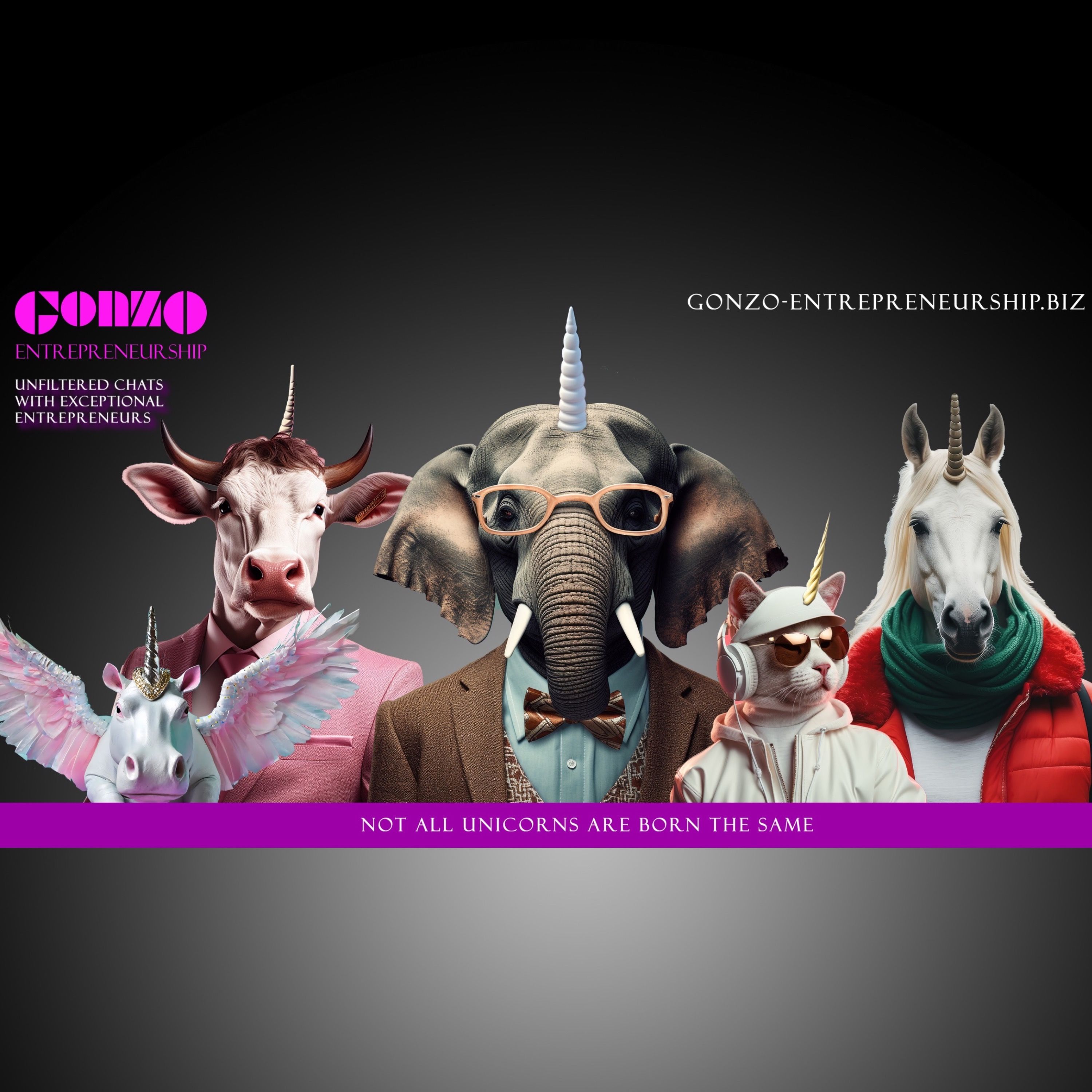 Gonzo Entrepreneurship podcast artwork