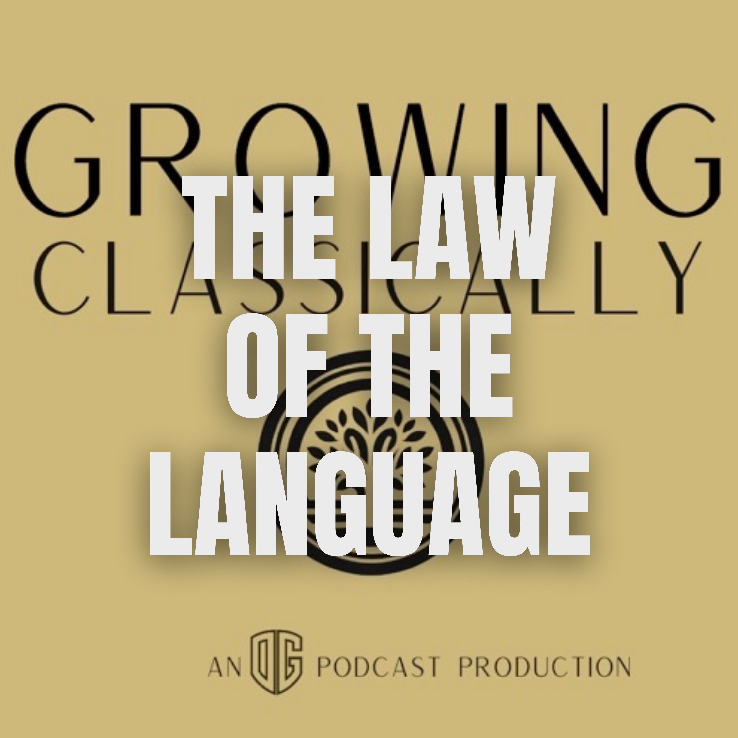 The Seven Laws of Teaching | Law #3: The Law of the Language