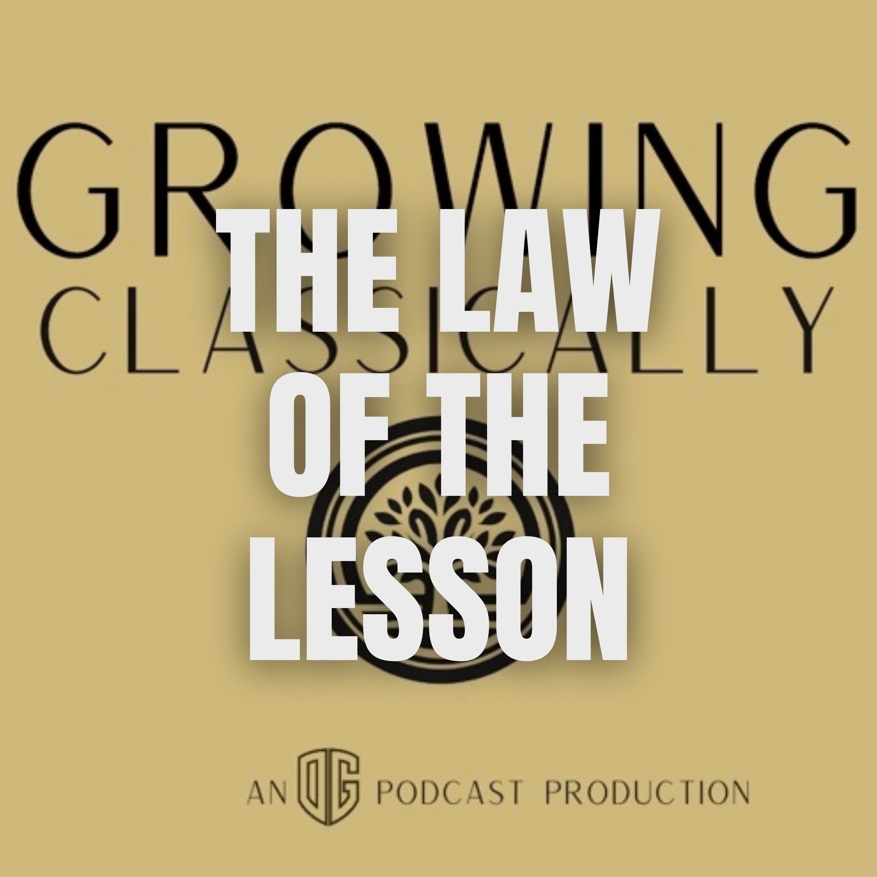 The Seven Laws of Teaching | Law #4: The Law of the Lesson