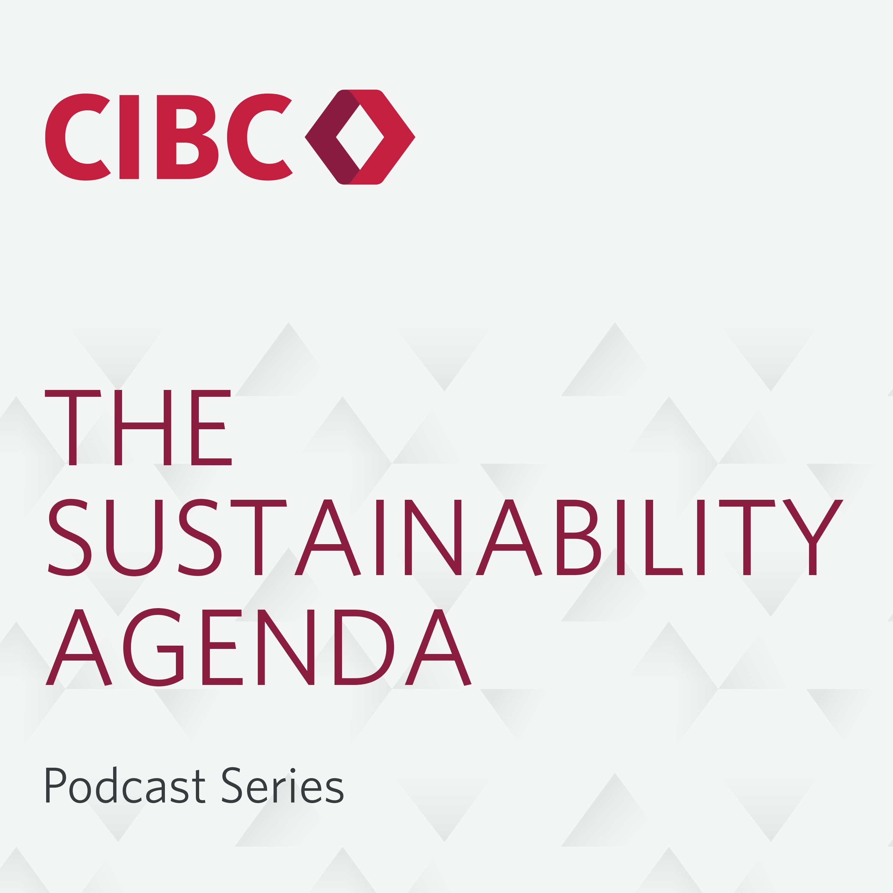 The Sustainability Agenda
