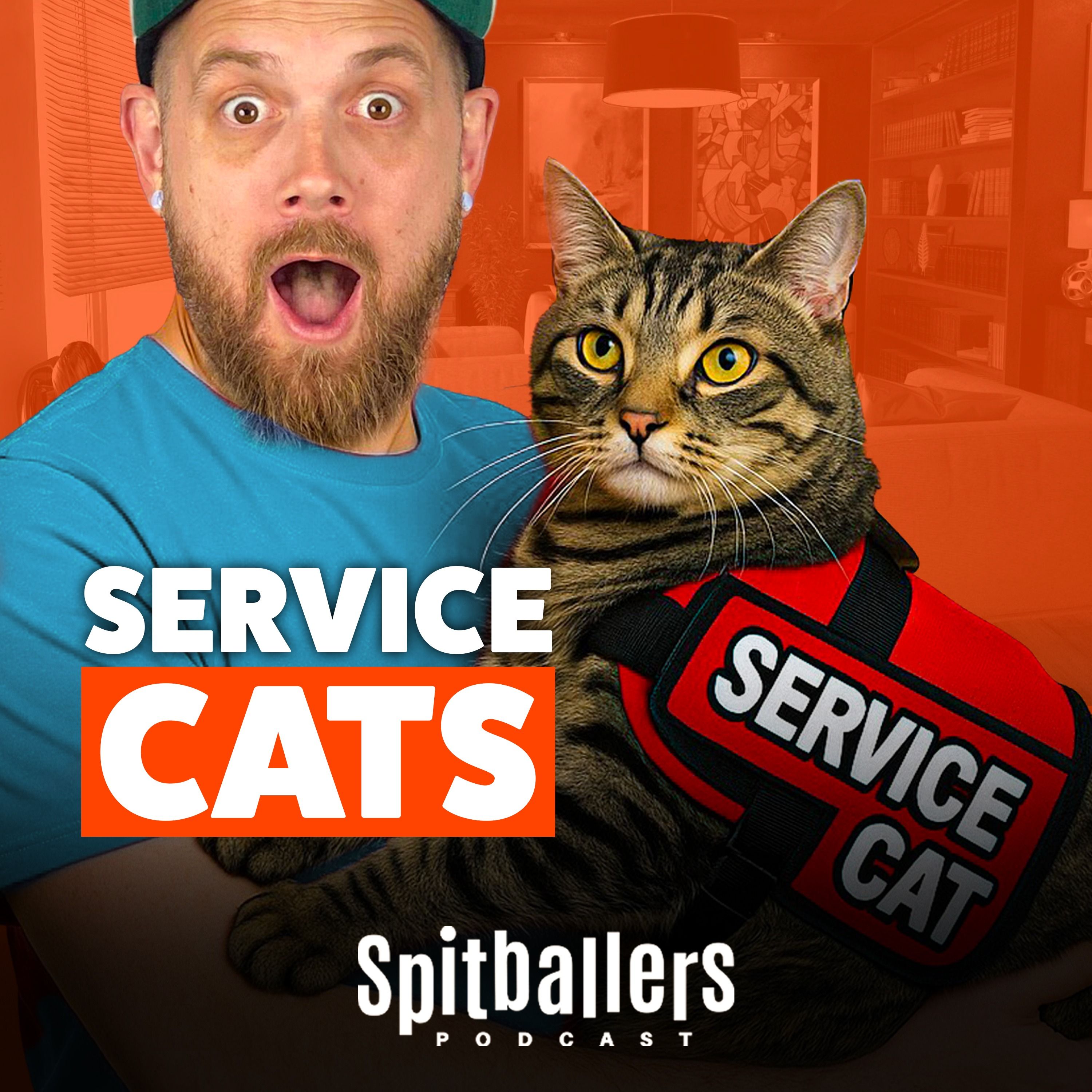 Service Cats & A Pool Party Battle - Comedy Podcast