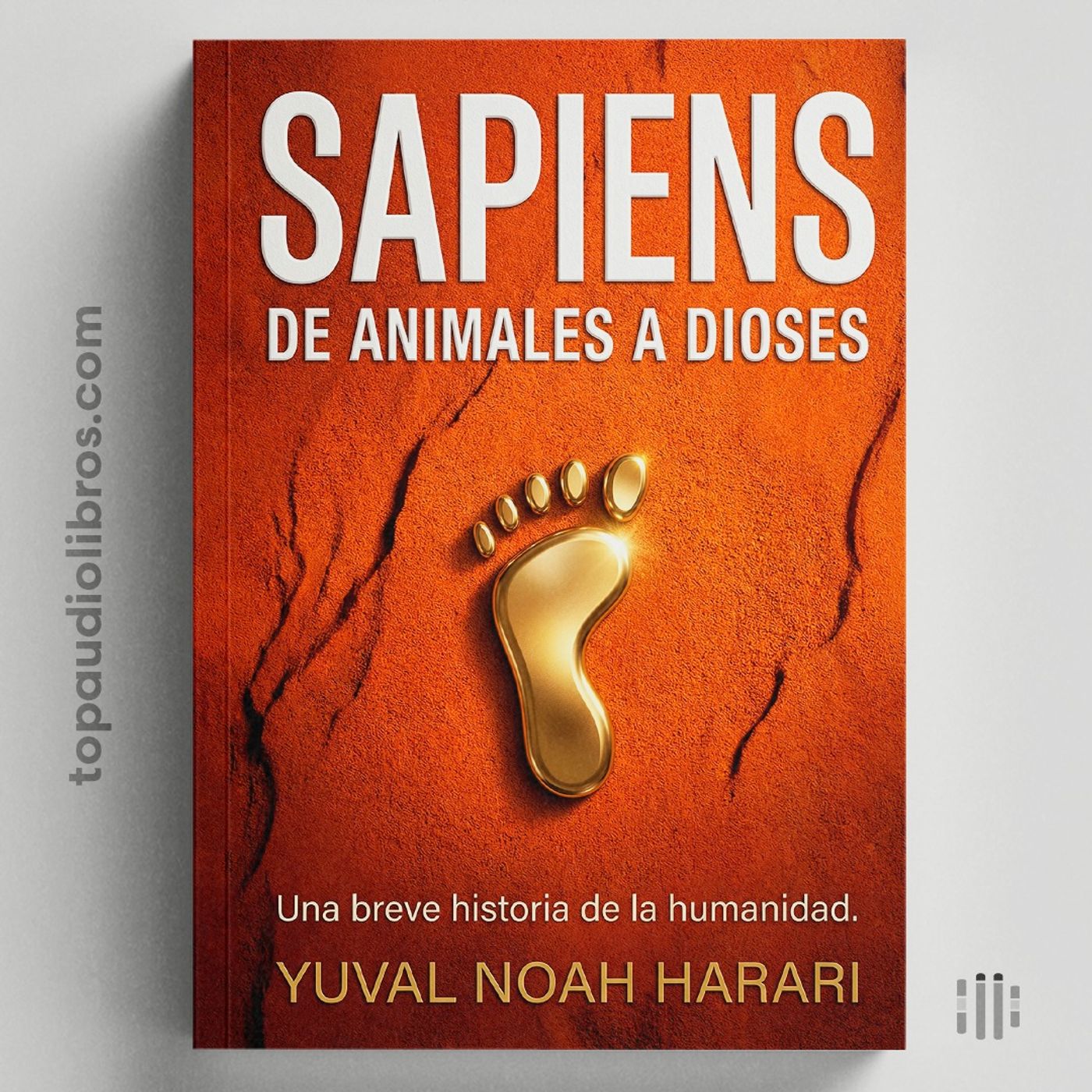 Cómo Escapar de la Matrix Moderna y Vencer la Ansiedad (La Guía de SAPIENS)