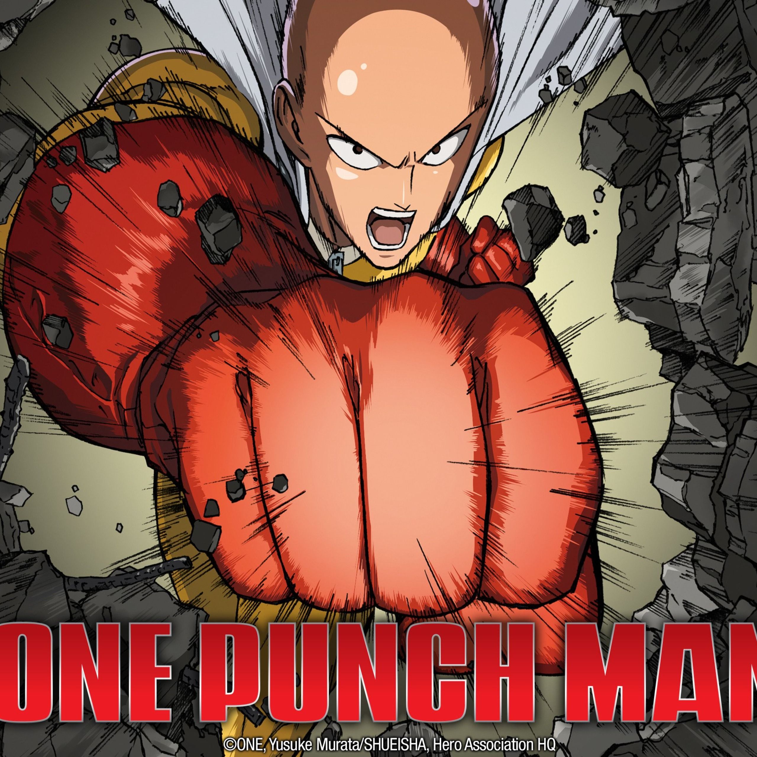 One Punch Man