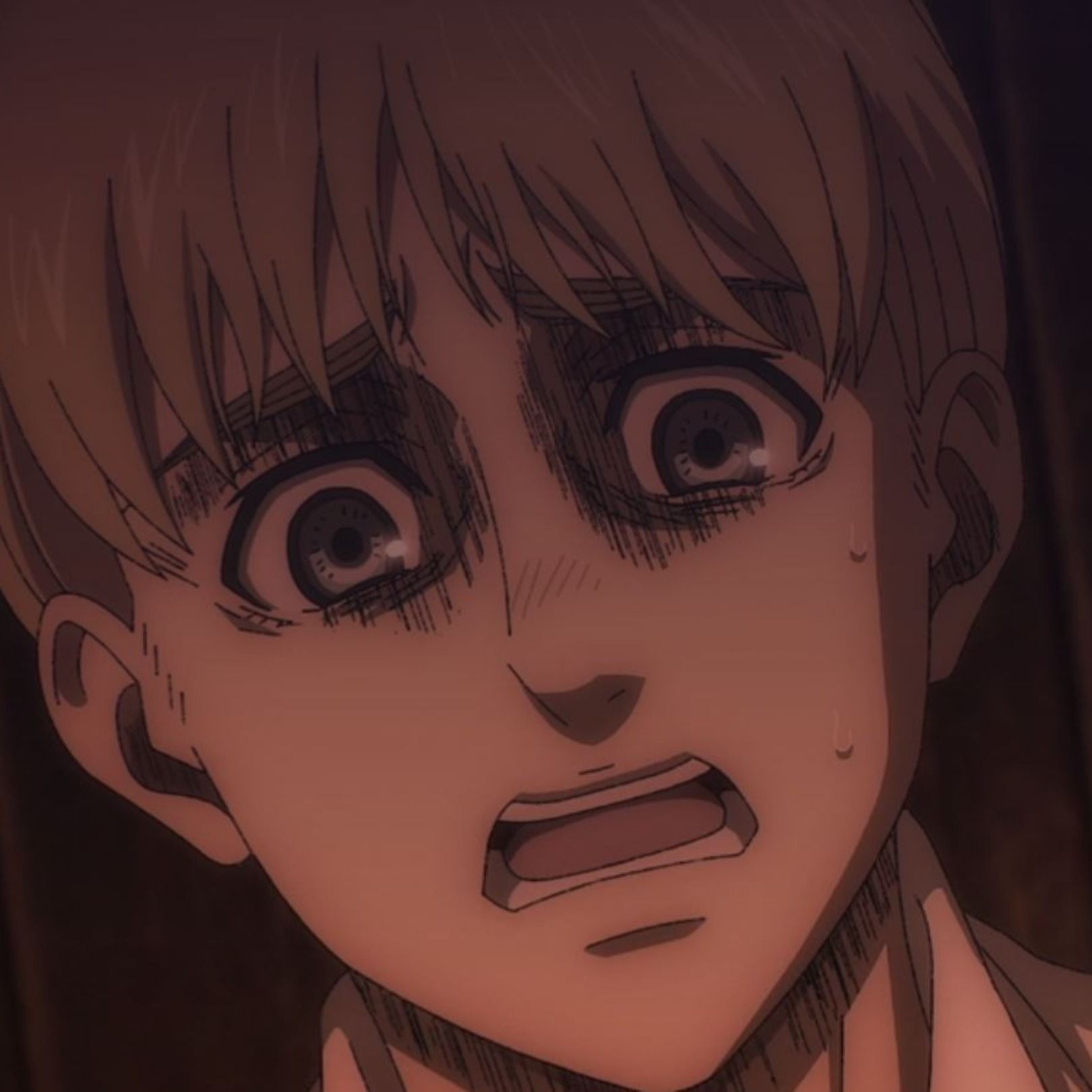 Spoiler Dump: AoT The Final Season - ep23