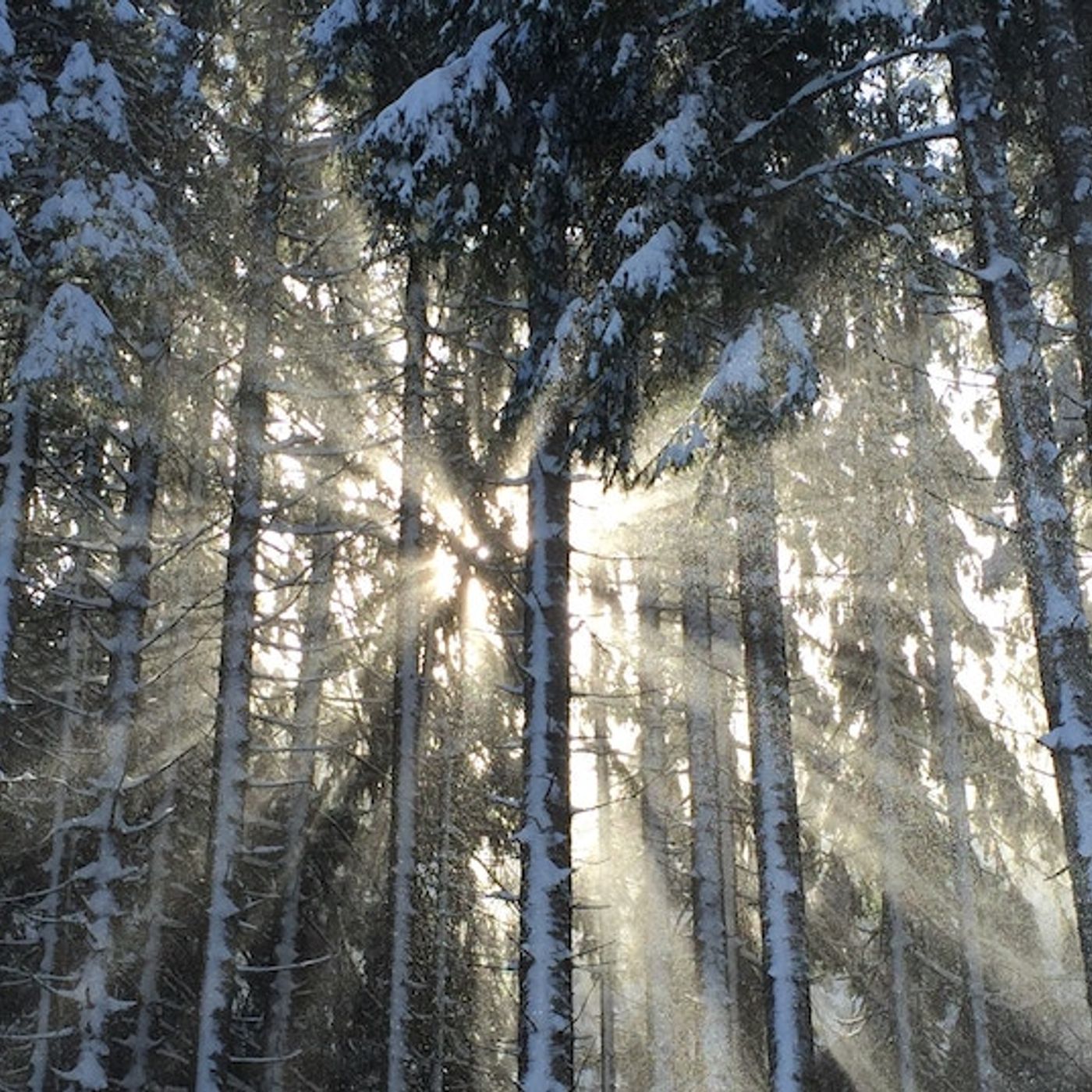 Youth Ministry Unscripted: The Rooted Youth Ministry Podcast