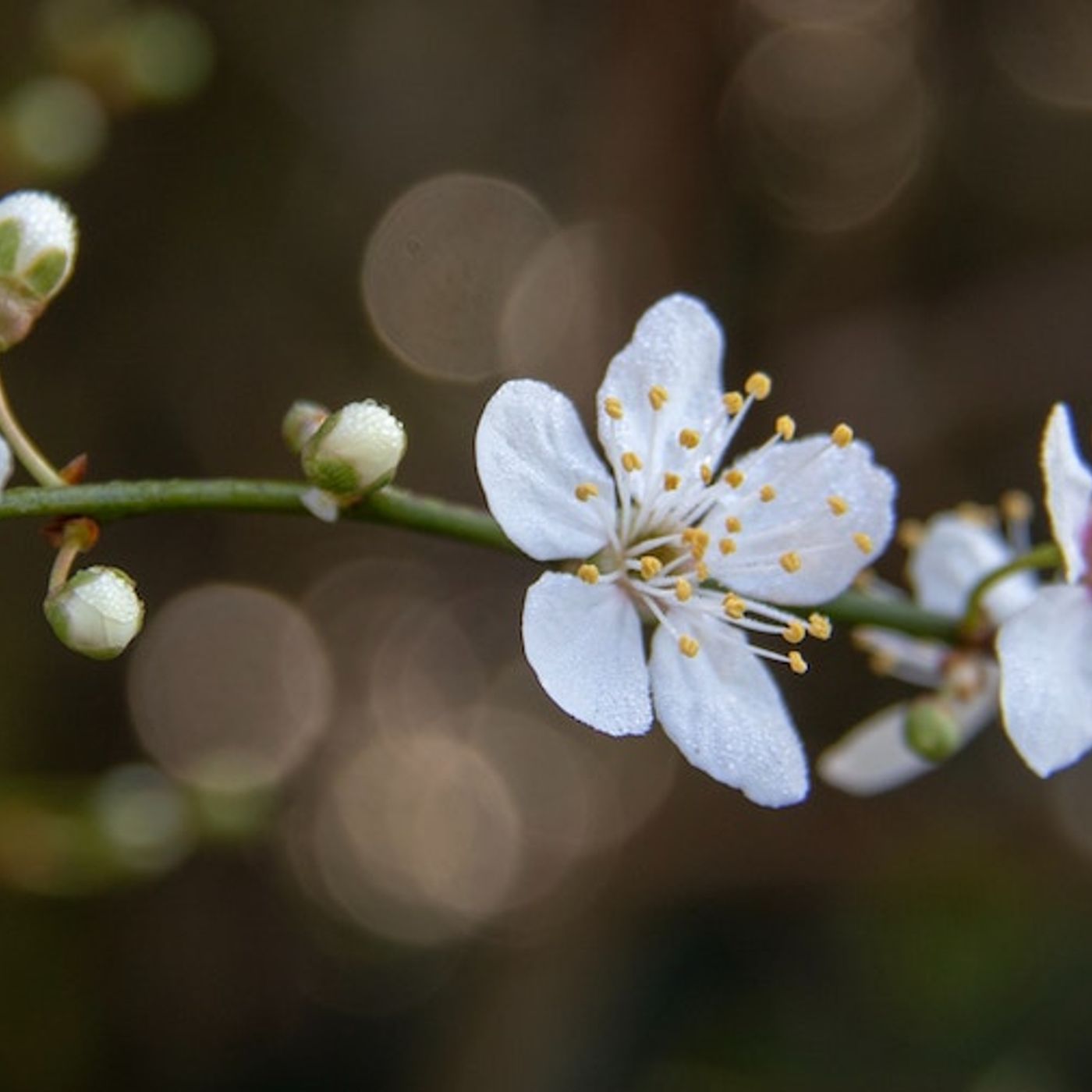 Youth Ministry Unscripted: The Rooted Youth Ministry Podcast