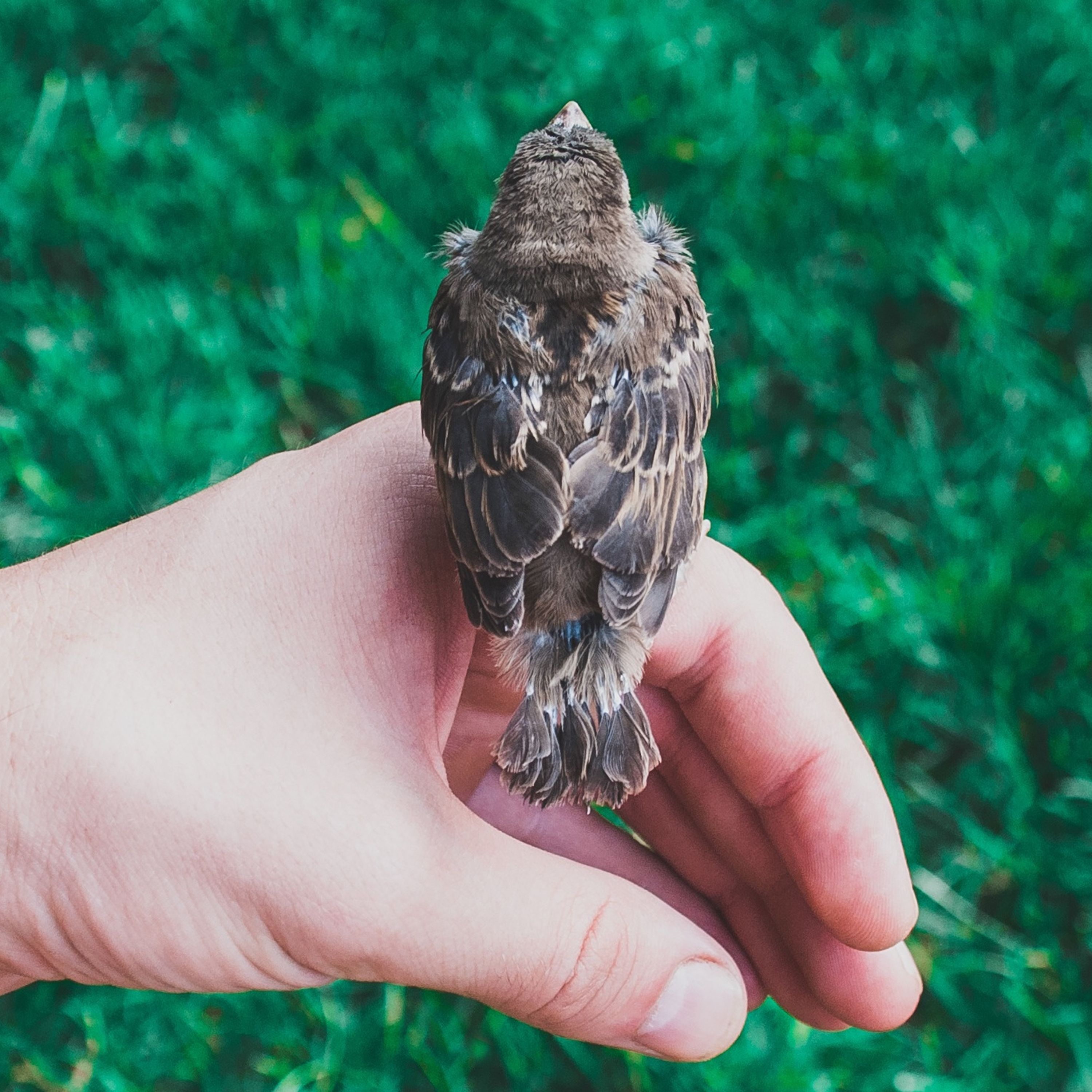 Youth Ministry Unscripted: The Rooted Youth Ministry Podcast