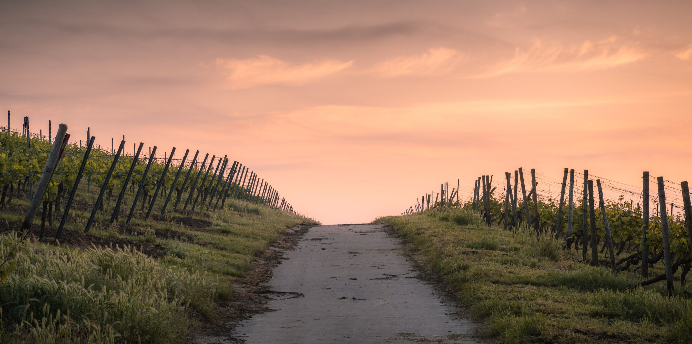 Youth Ministry Unscripted: The Rooted Youth Ministry Podcast
