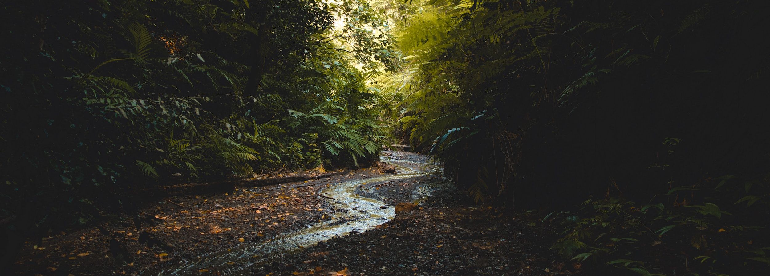 Youth Ministry Unscripted: The Rooted Youth Ministry Podcast