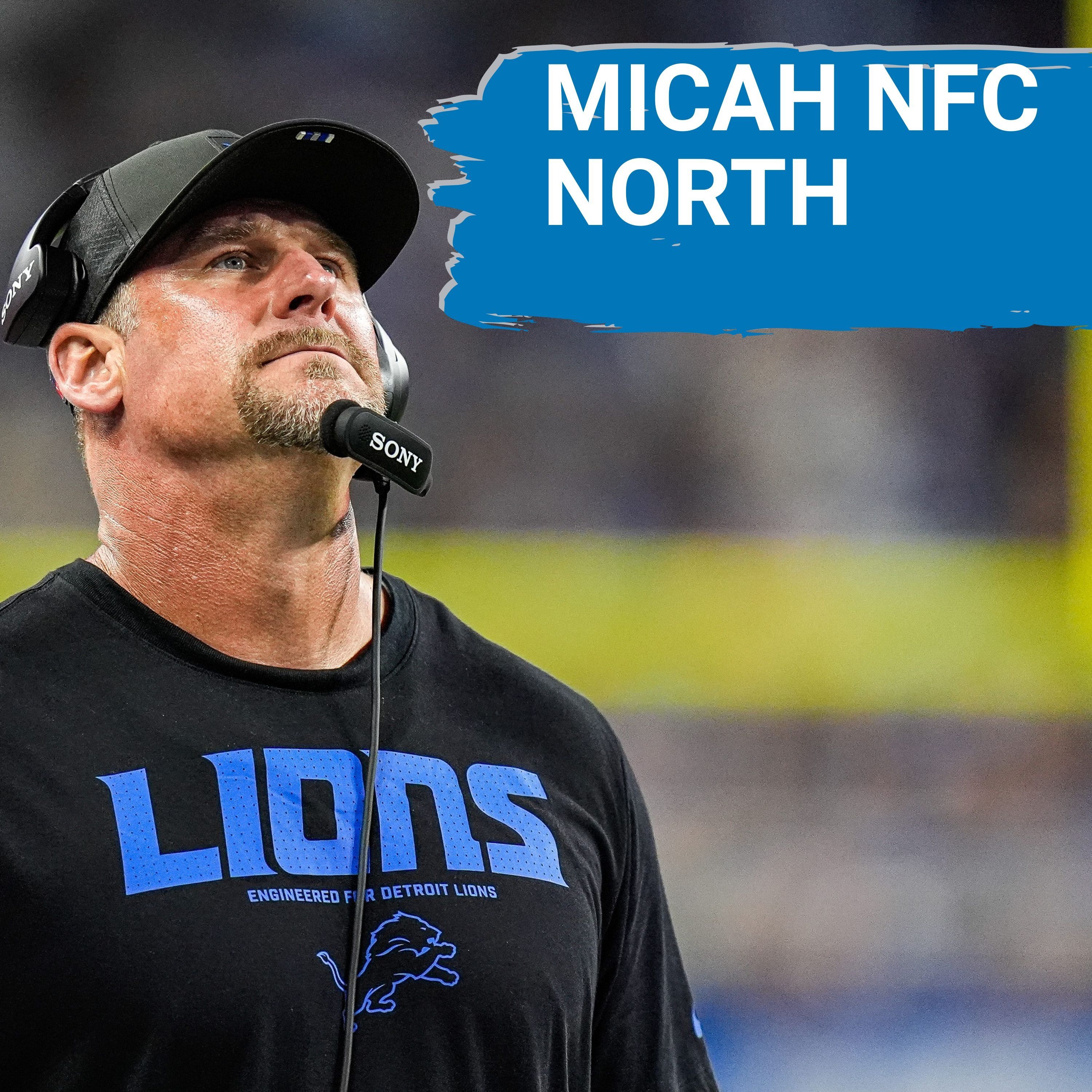 PANIC? Should Detroit Lions fans just expect second place now?
