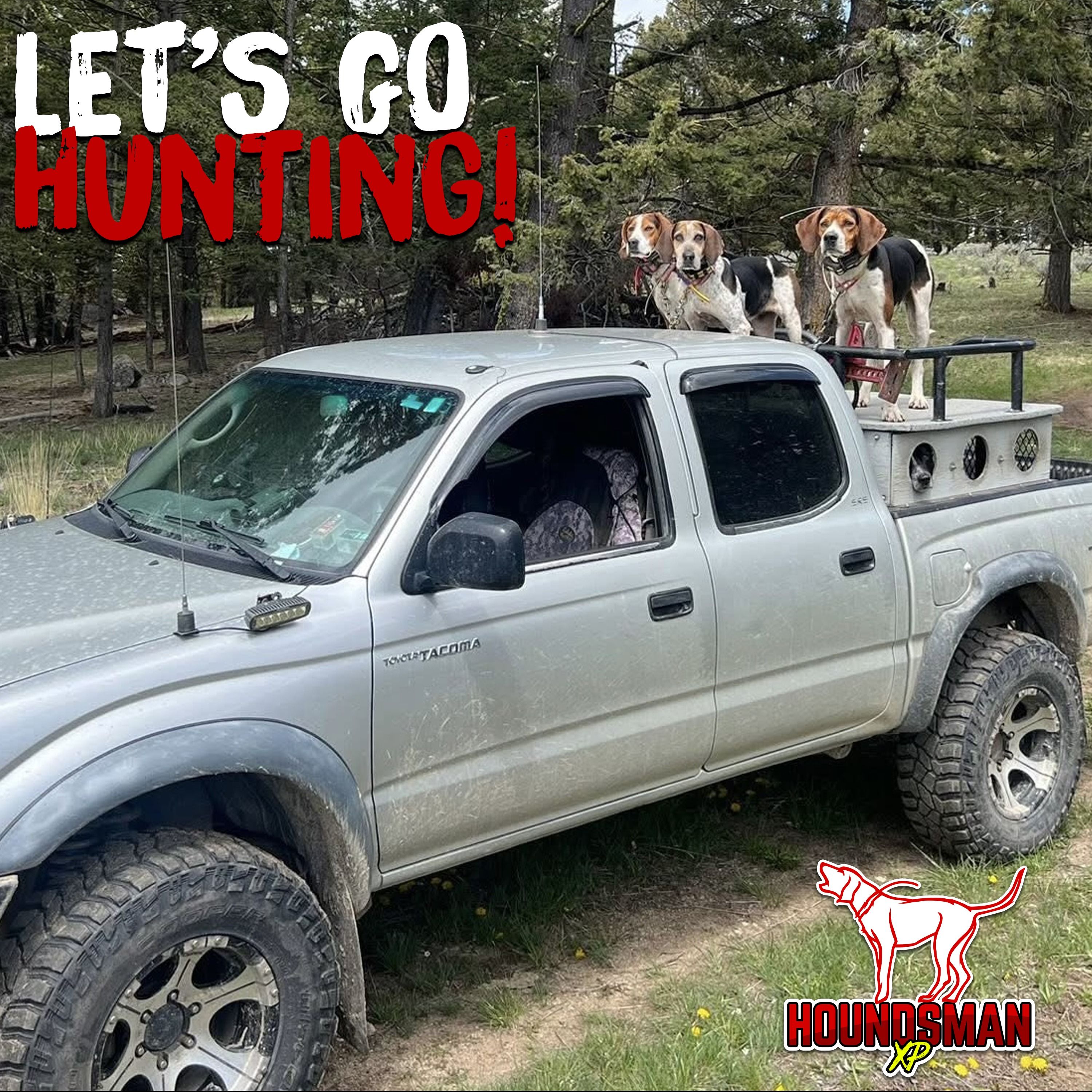 Let's Go Hunting! episode artwork