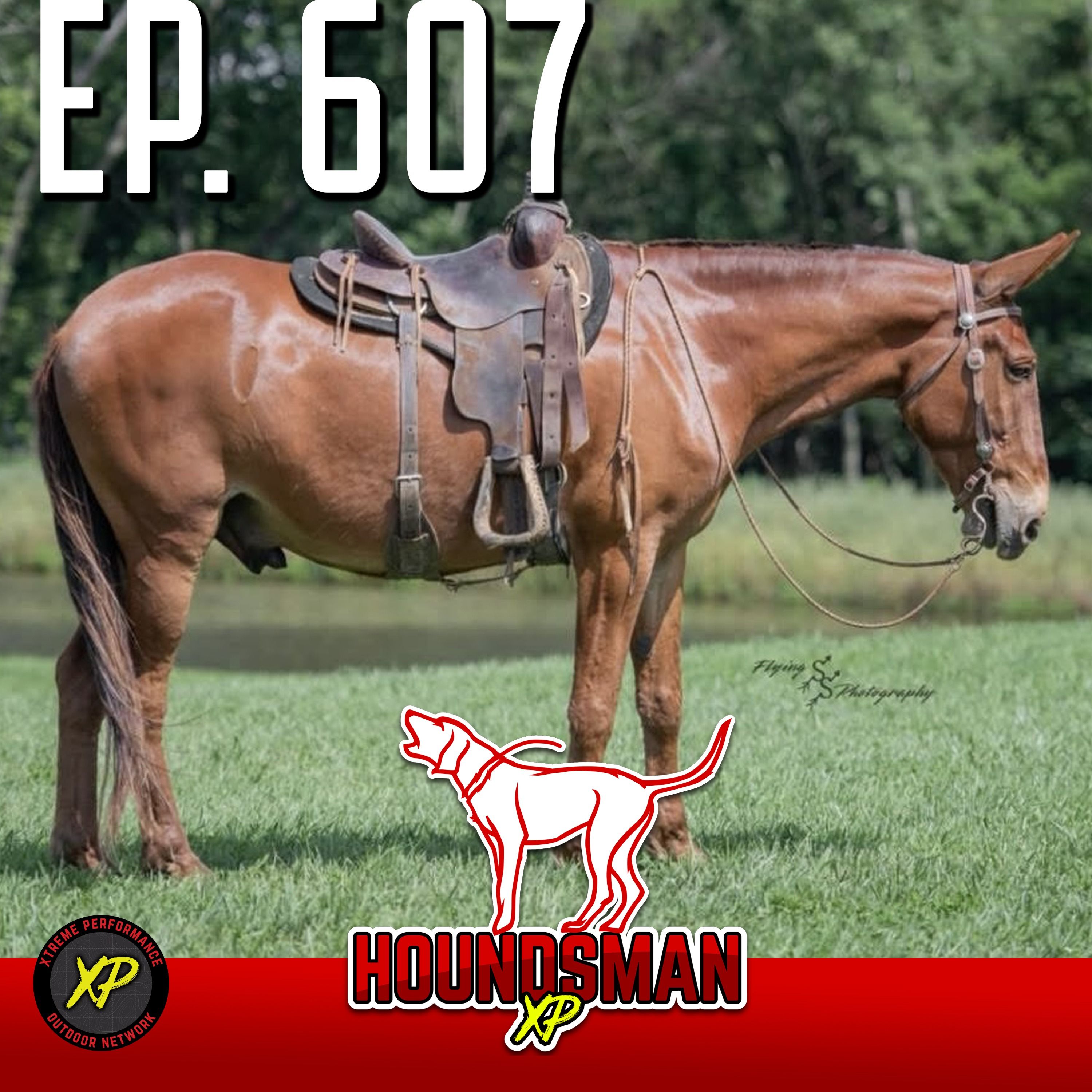 Houndsman XP Podcast