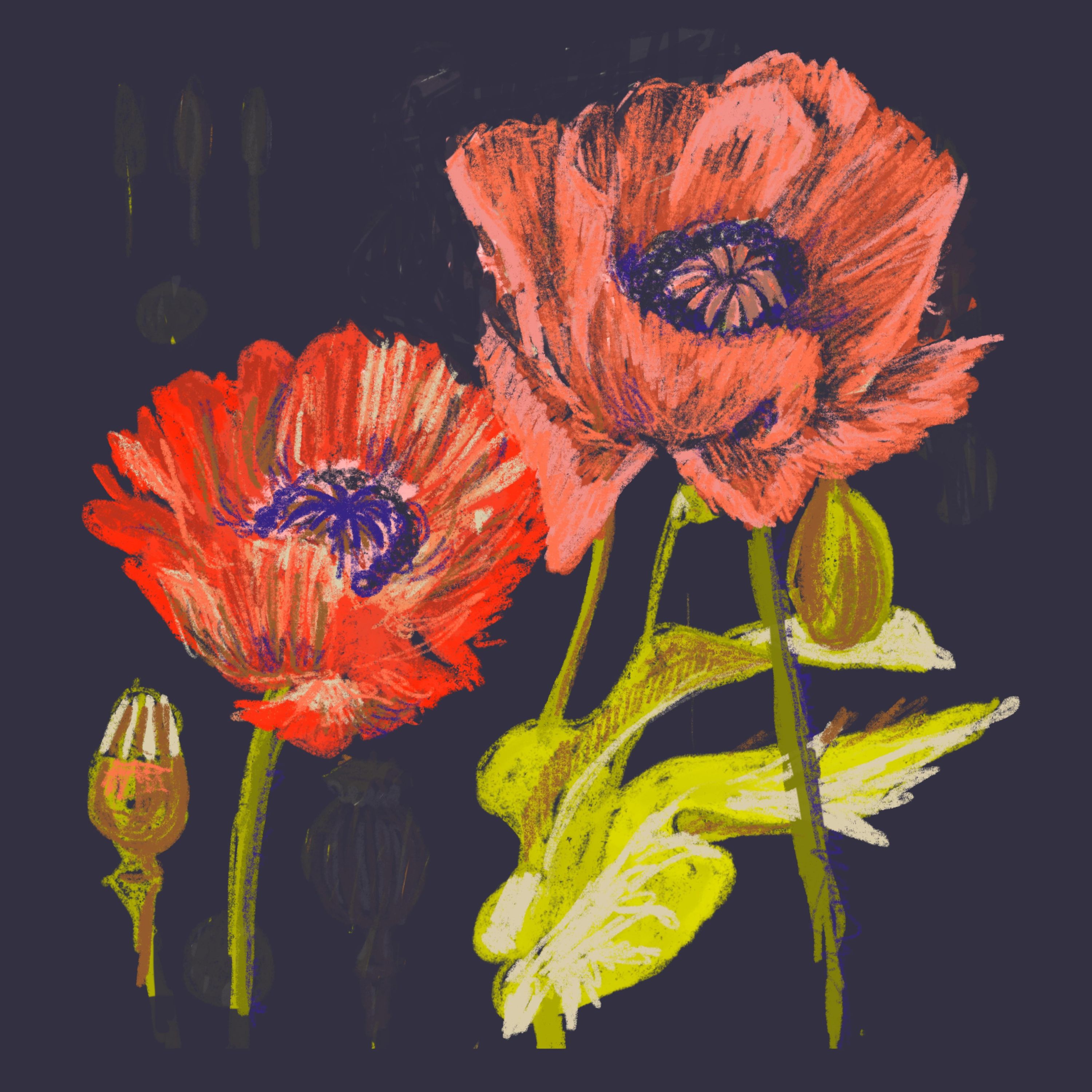Thyme in the Studio: Art & Wellness