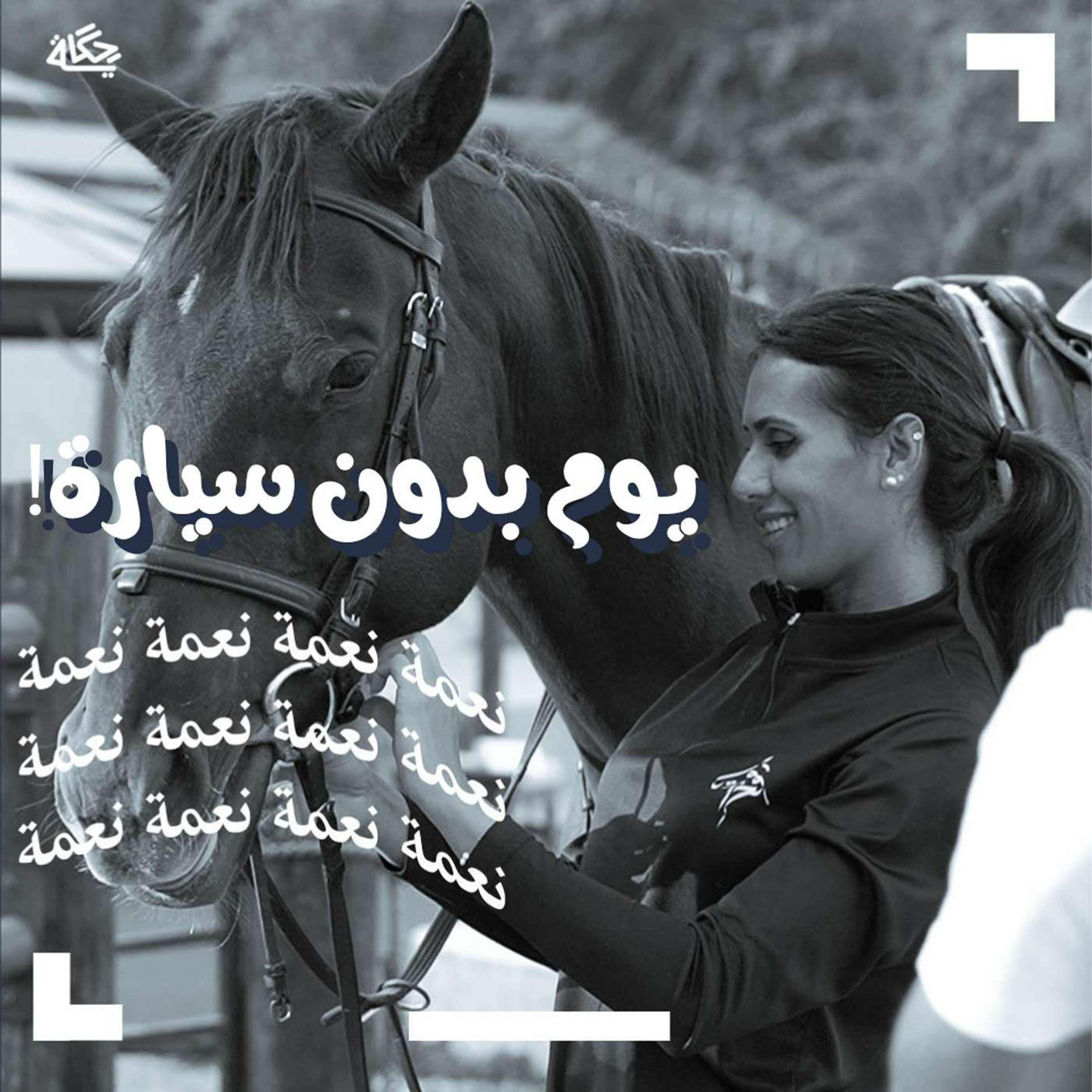 !يوم بدون سيارة episode artwork
