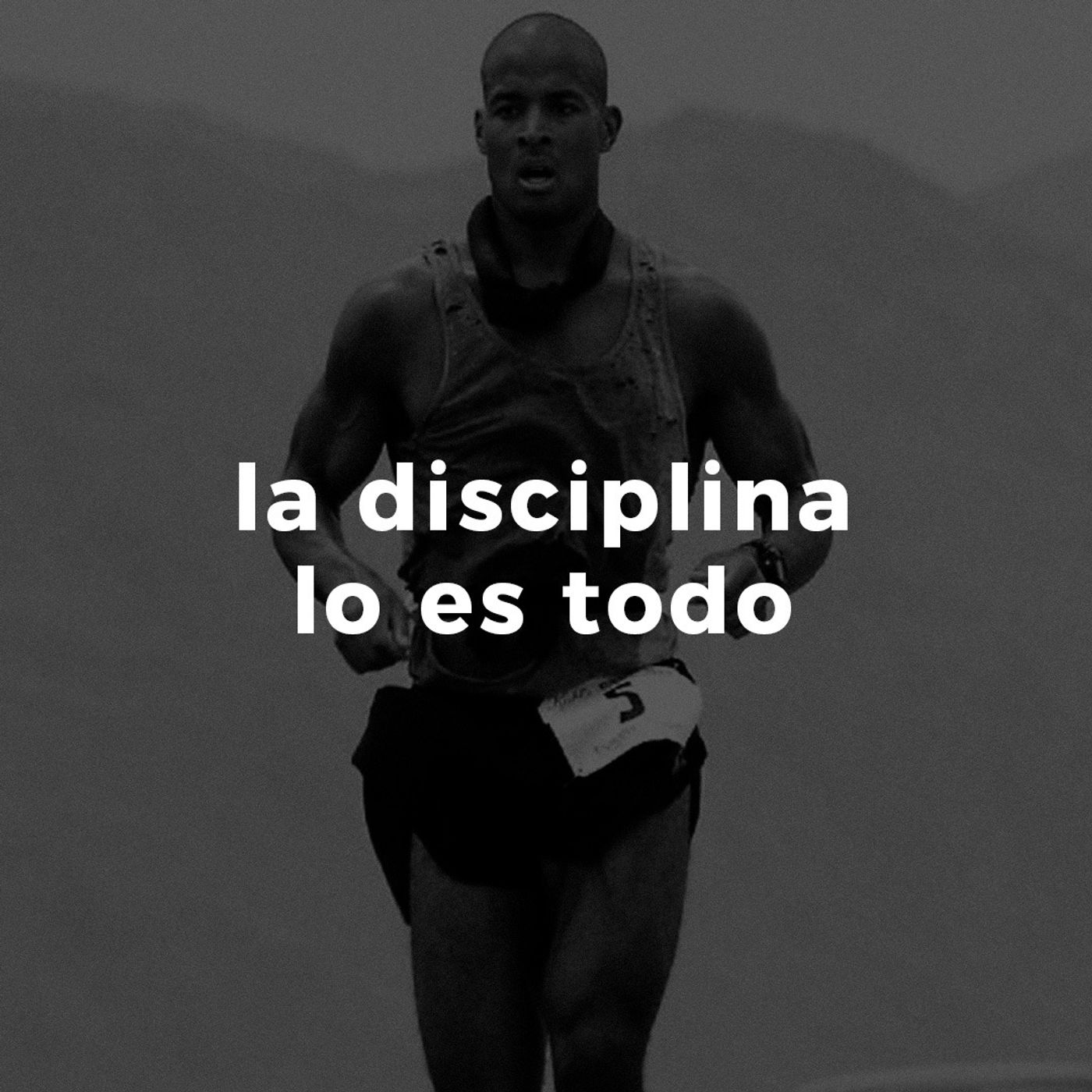 La disciplina lo es todo.