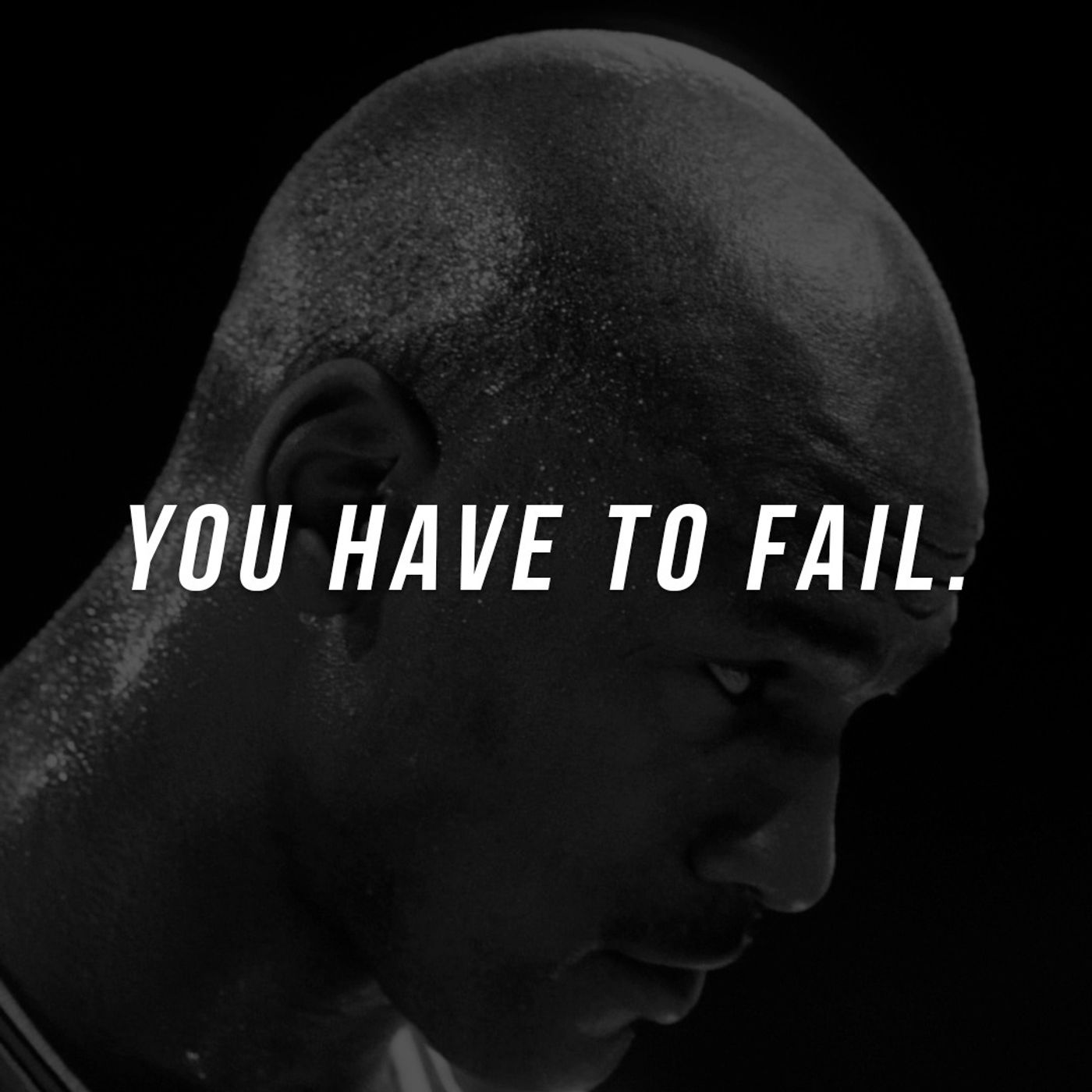 cover of episode YOU HAVE TO FAIL