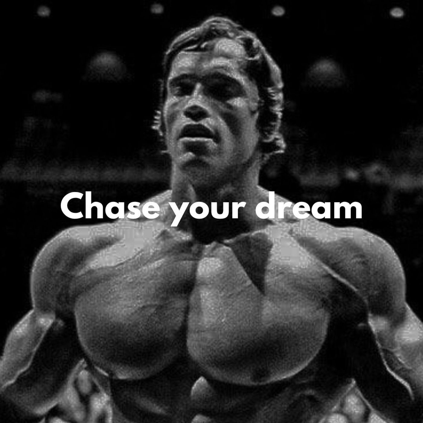 Chase your dream episode artwork